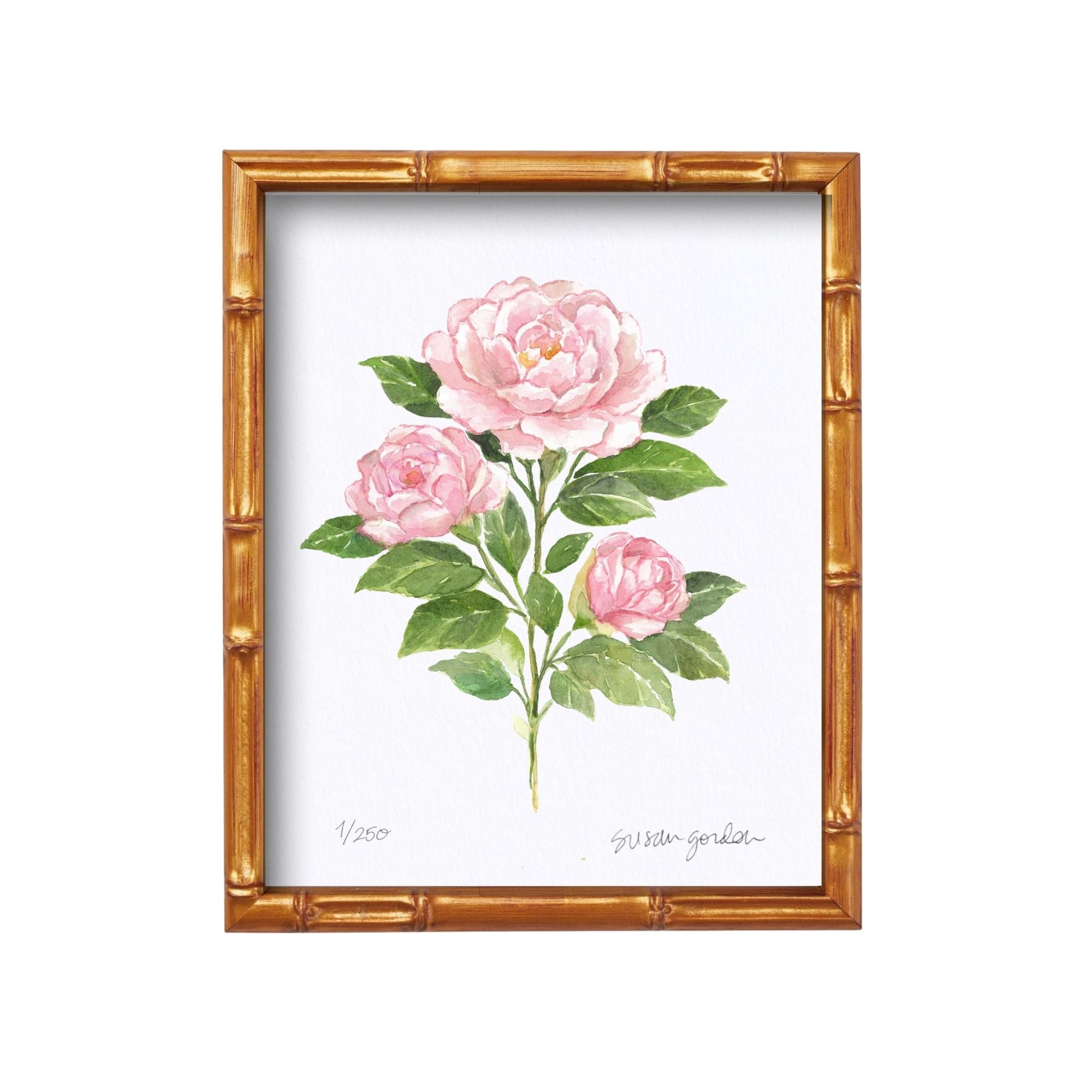 8x10 Camellia Prints By Susan Gordon
