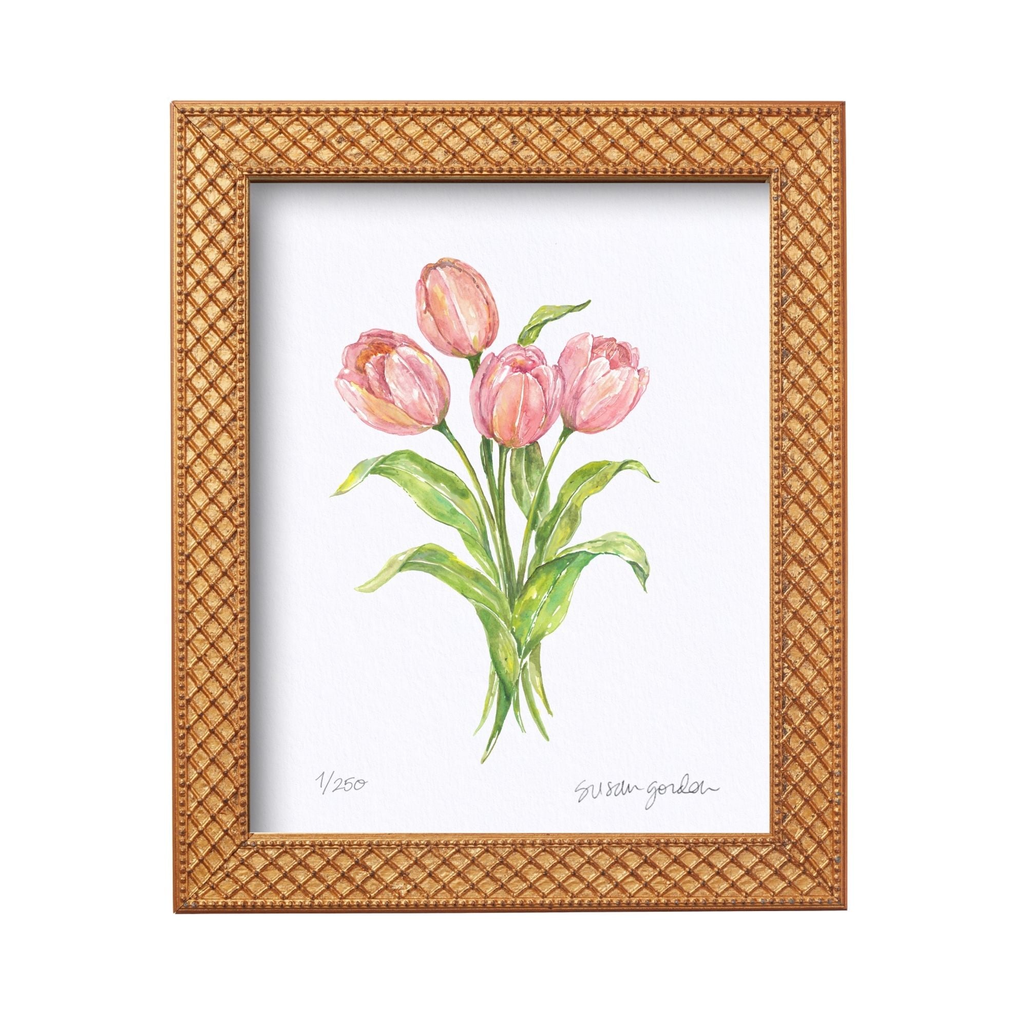 8x10 Tulip Prints By Susan Gordon