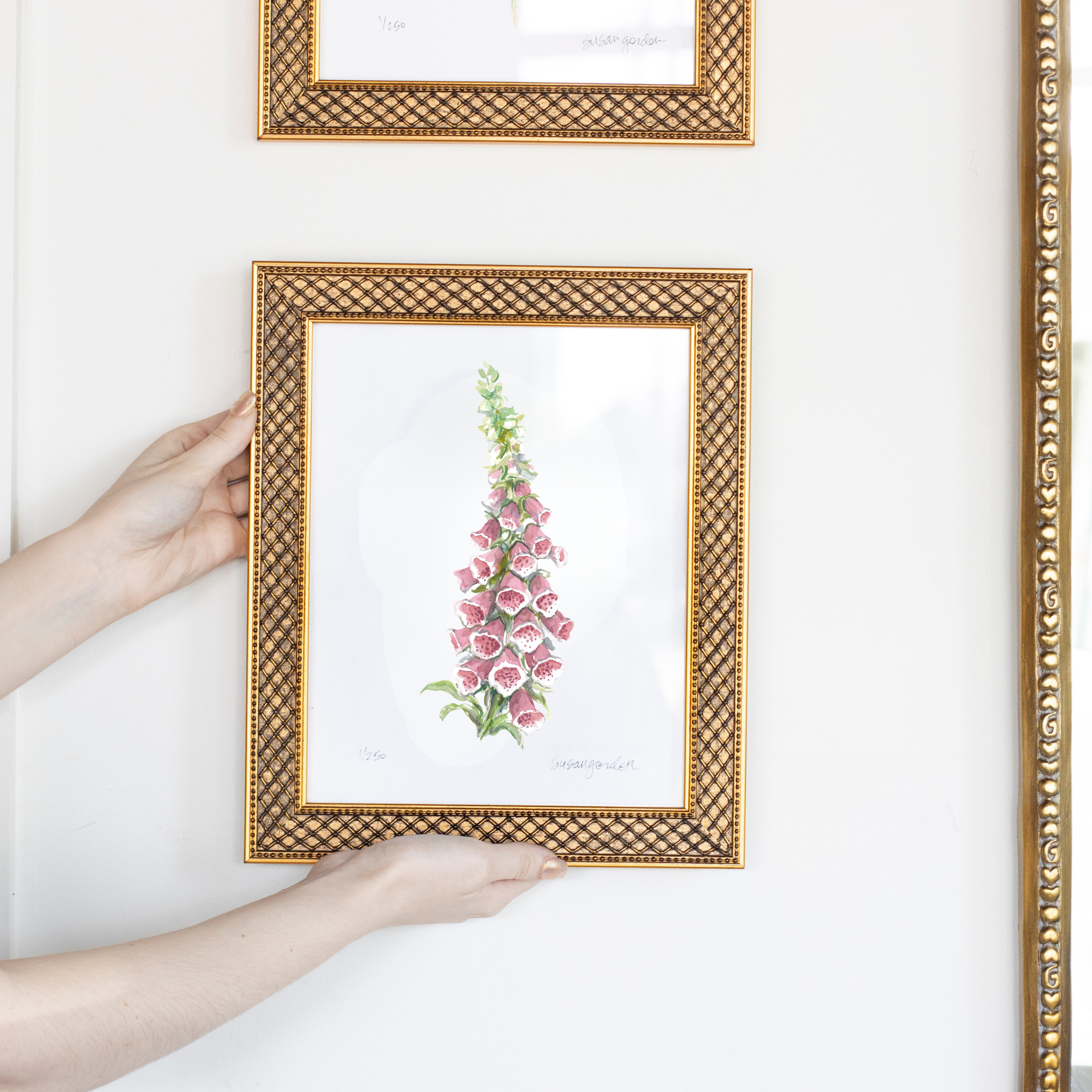 8x10 Framed Foxglove Archival Prints By Susan Gordon