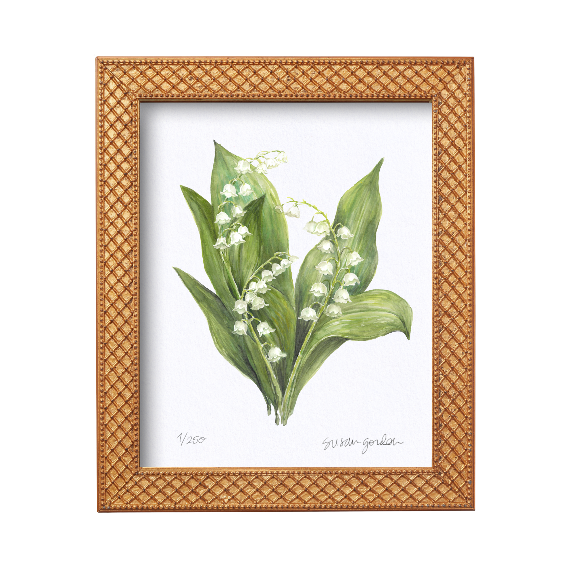 8x10 Lily of the Valley Prints By Susan Gordon