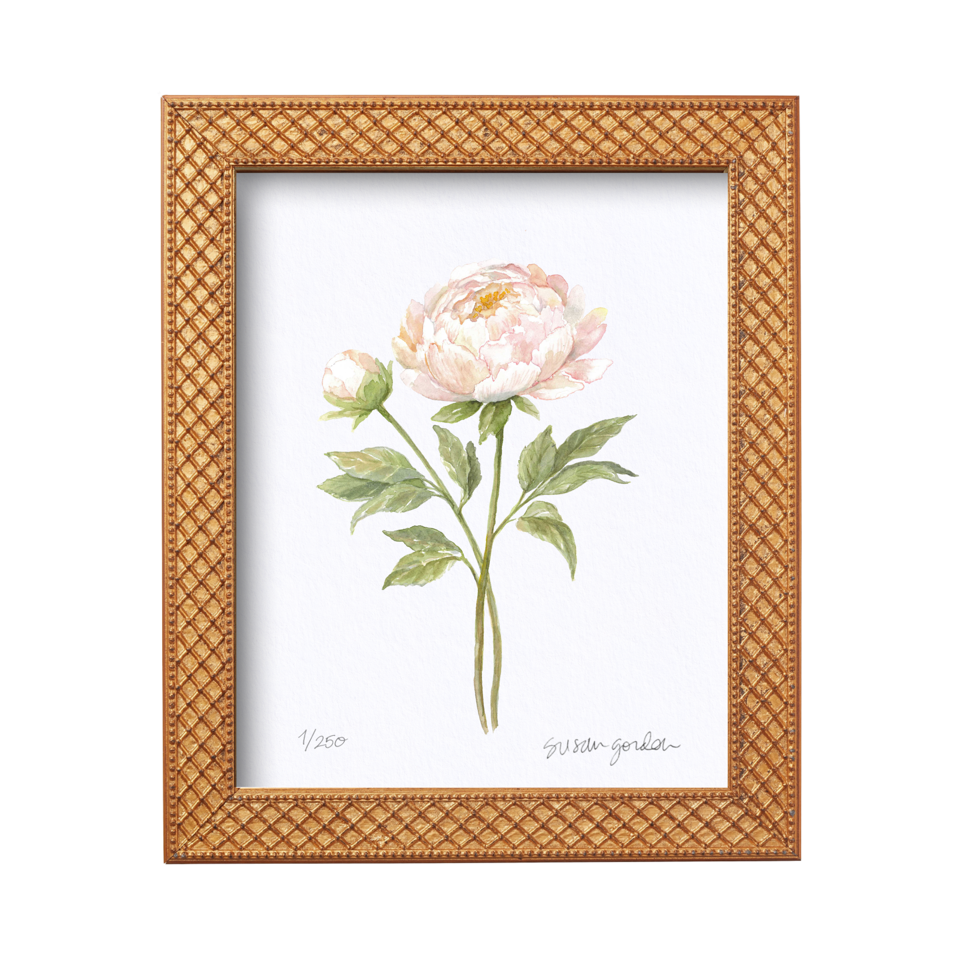 8x10 Framed Peony Archival Prints By Susan Gordon