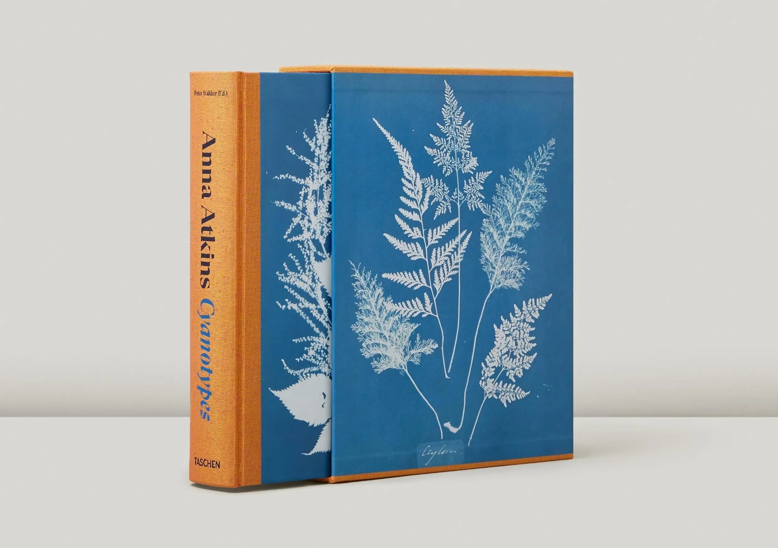 Anna Atkins. Cyanotypes (German, French, English) (FFE) - The Mayfair Hall