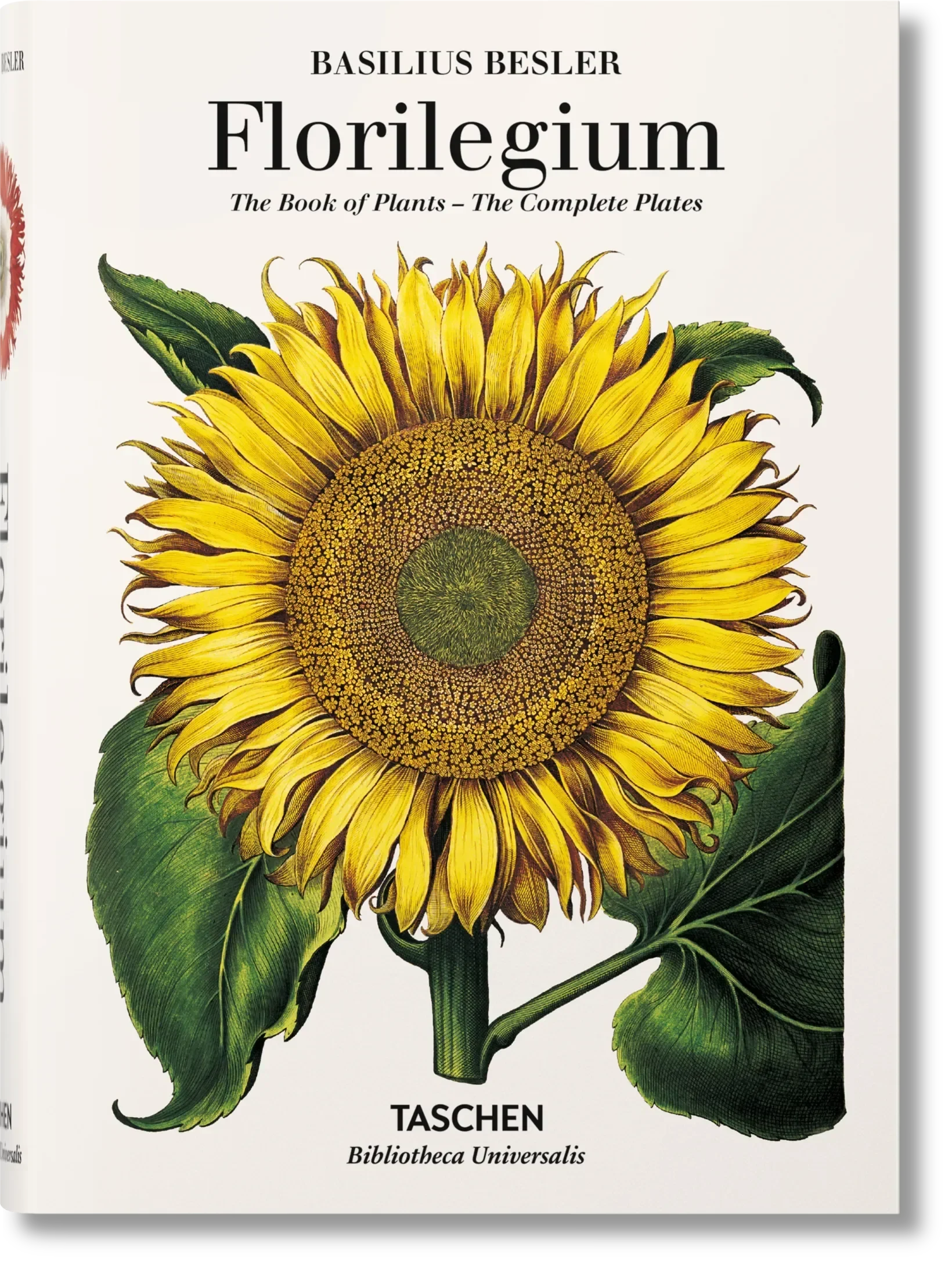 Basilius Besler. Florilegium. The Book of Plants (English) - The Mayfair Hall