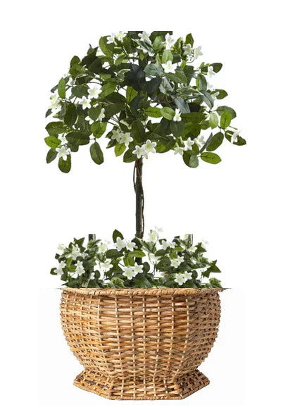 Hexagon Wicker Planter - The Mayfair Hall