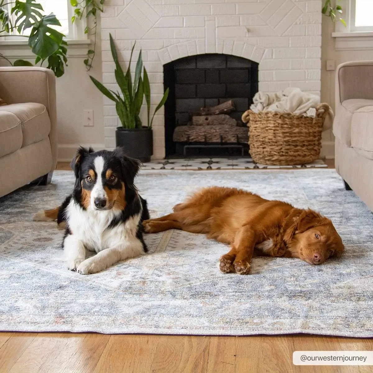 Afya Washable Area Rug - The Mayfair Hall