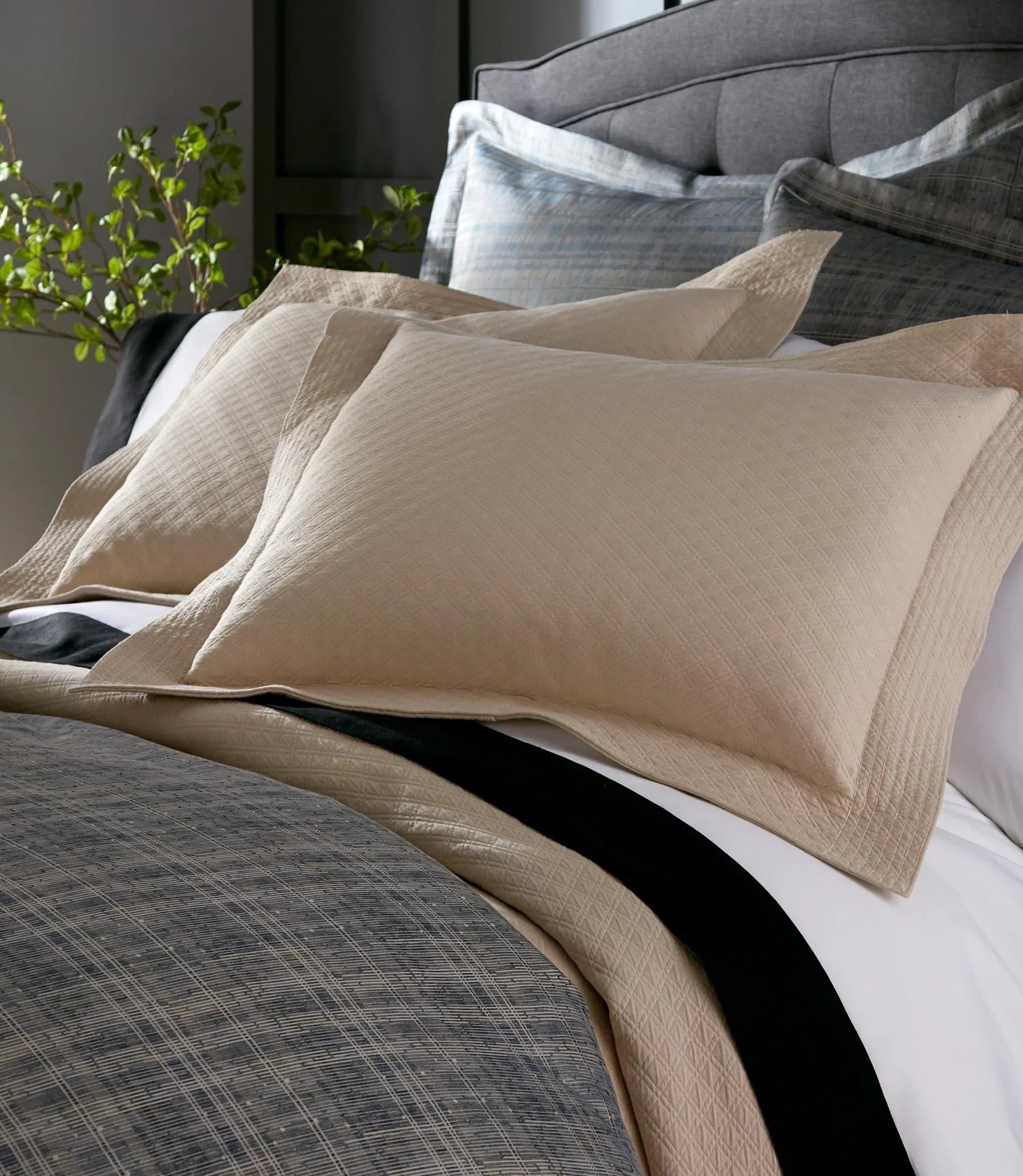 Alyssa Matelassé Sham