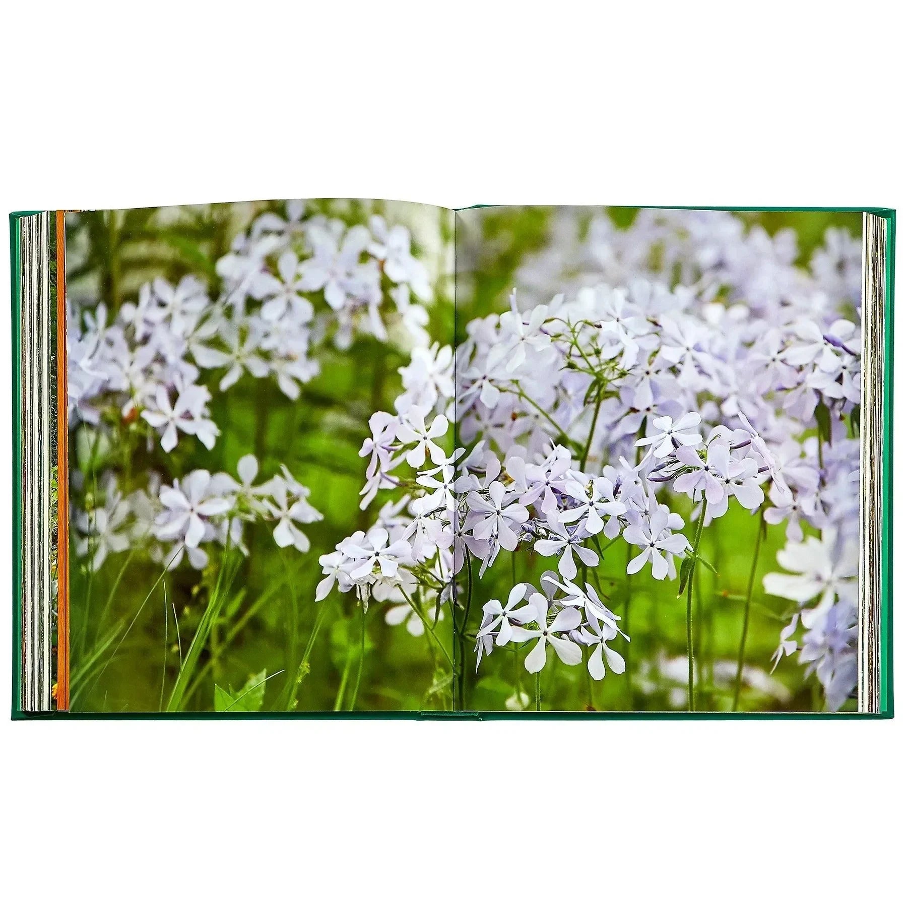 Bunny Williams: Life in the Garden - The Mayfair Hall