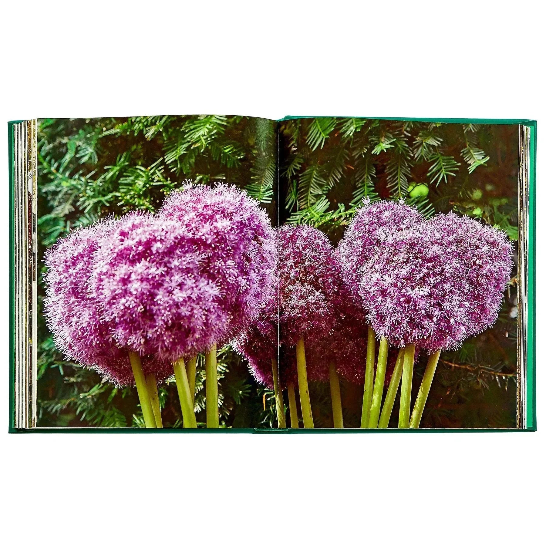 Bunny Williams: Life in the Garden - The Mayfair Hall