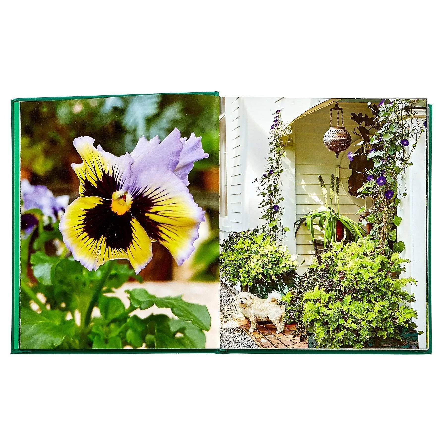 Bunny Williams: Life in the Garden - The Mayfair Hall