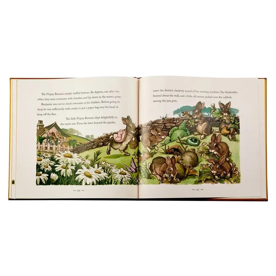 The Classic Tale of Peter Rabbit - The Mayfair Hall