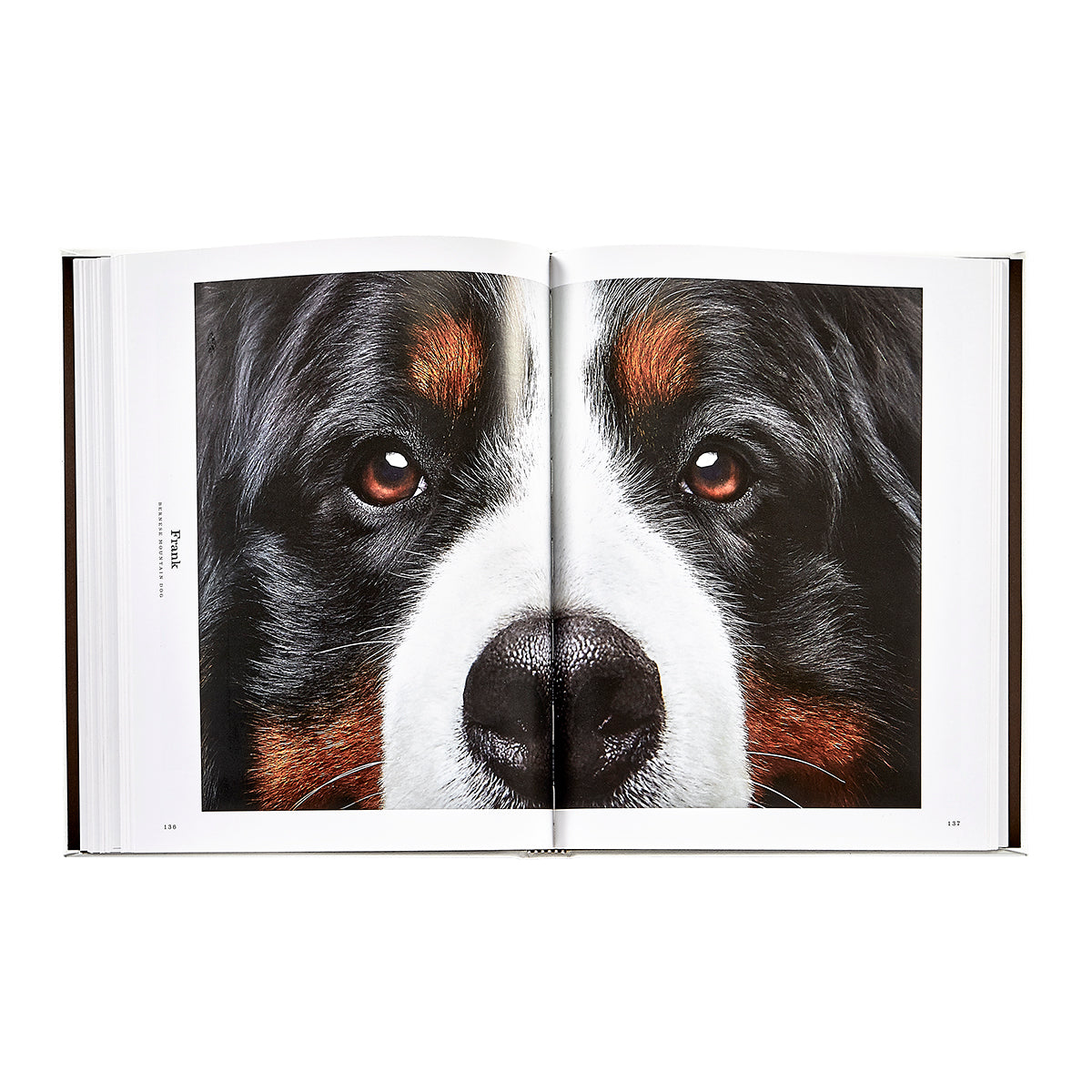Good Dog: A Selection of Portraits by Randal Ford