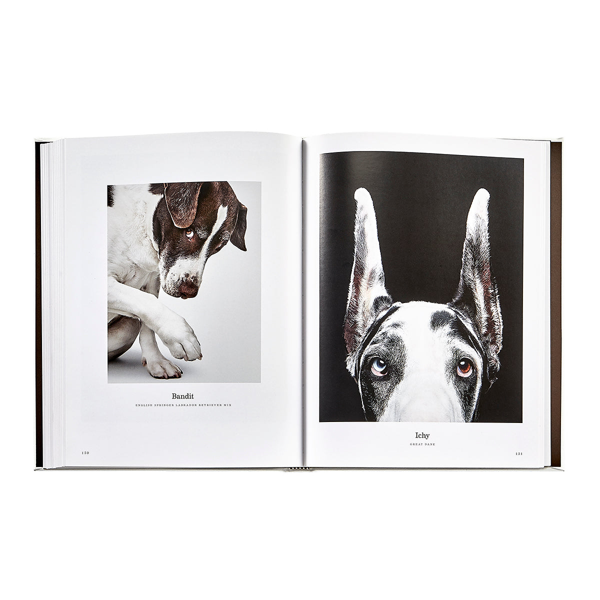 Good Dog: A Selection of Portraits by Randal Ford