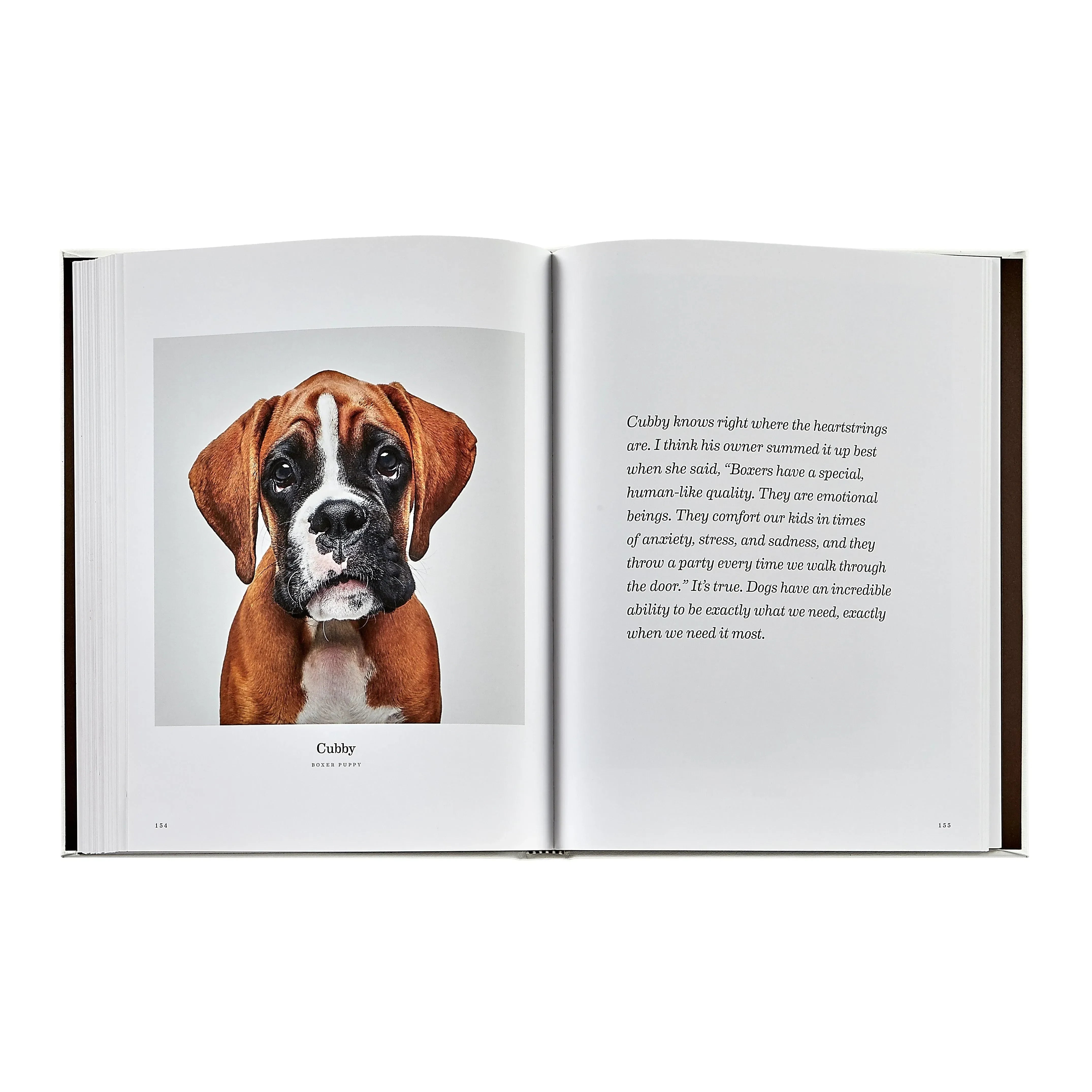 Good Dog - The Mayfair Hall