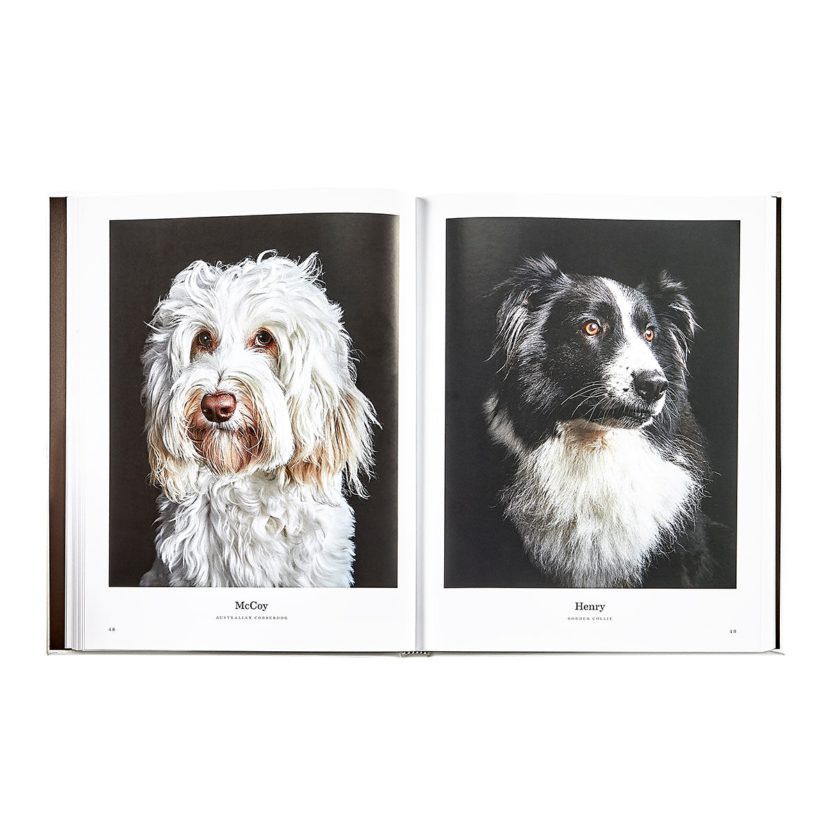 Good Dog: A Selection of Portraits by Randal Ford
