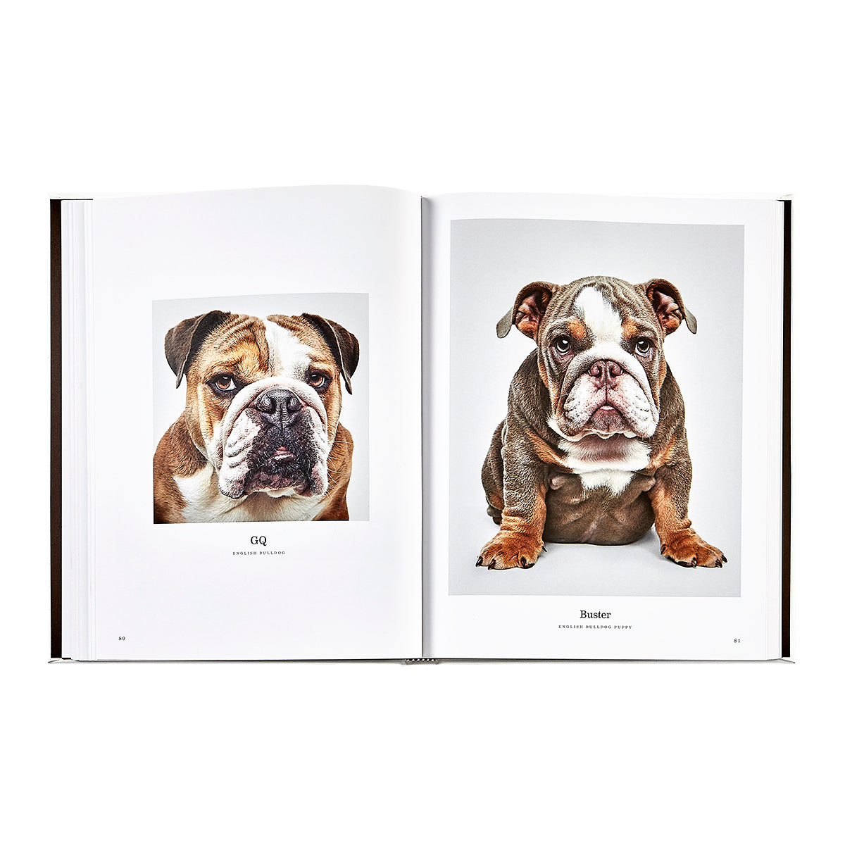 Good Dog: A Selection of Portraits by Randal Ford