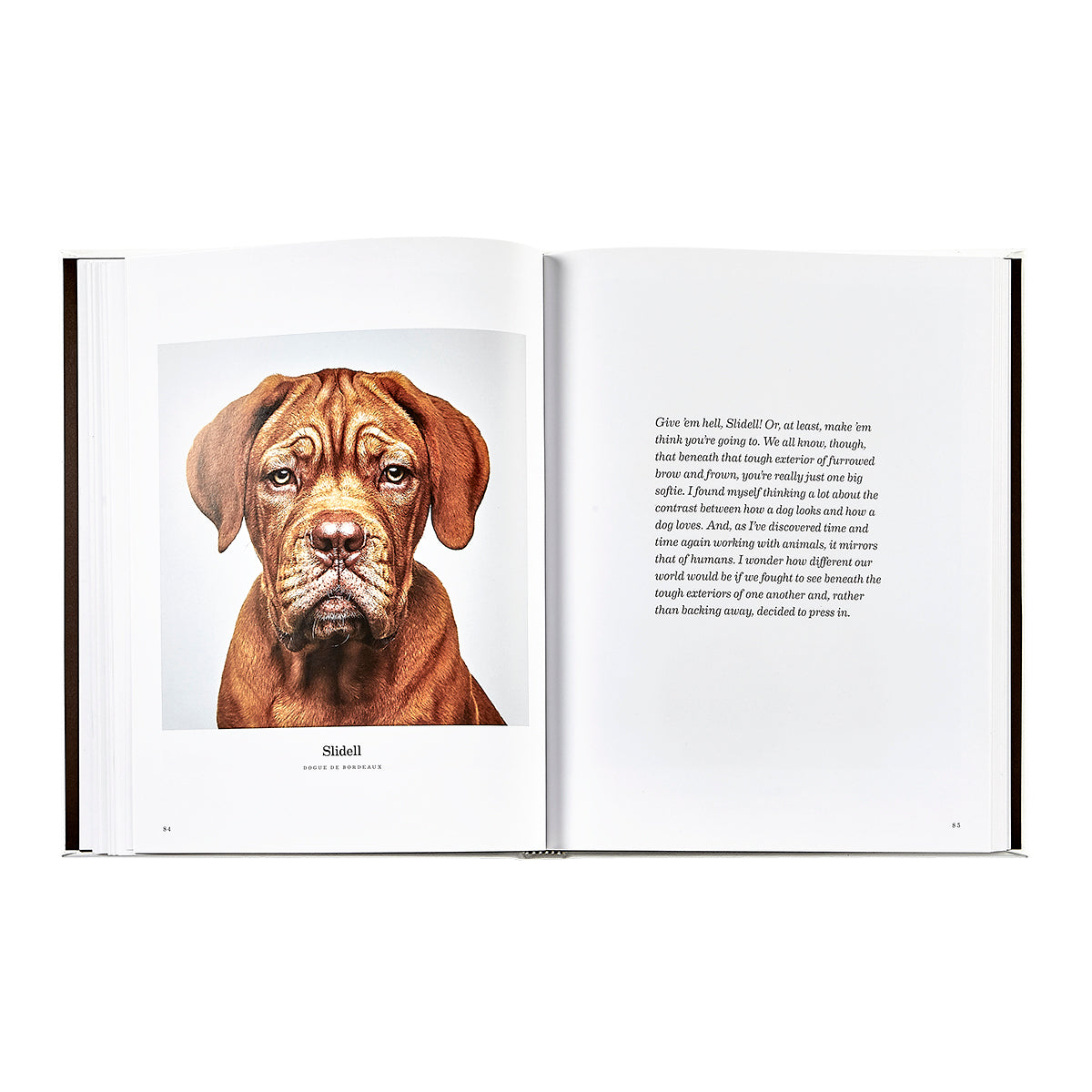 Good Dog: A Selection of Portraits by Randal Ford