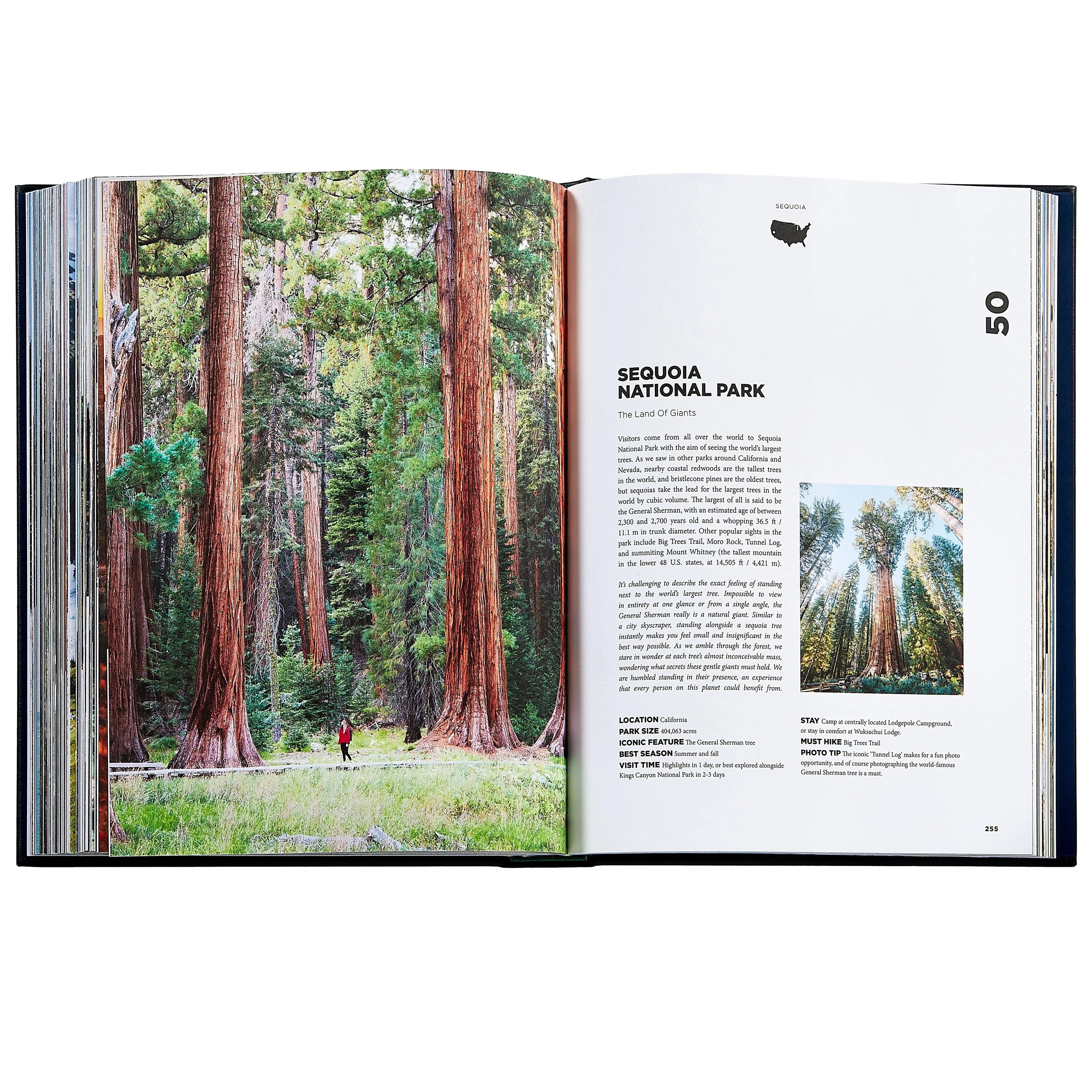 Roaming America - The Mayfair Hall