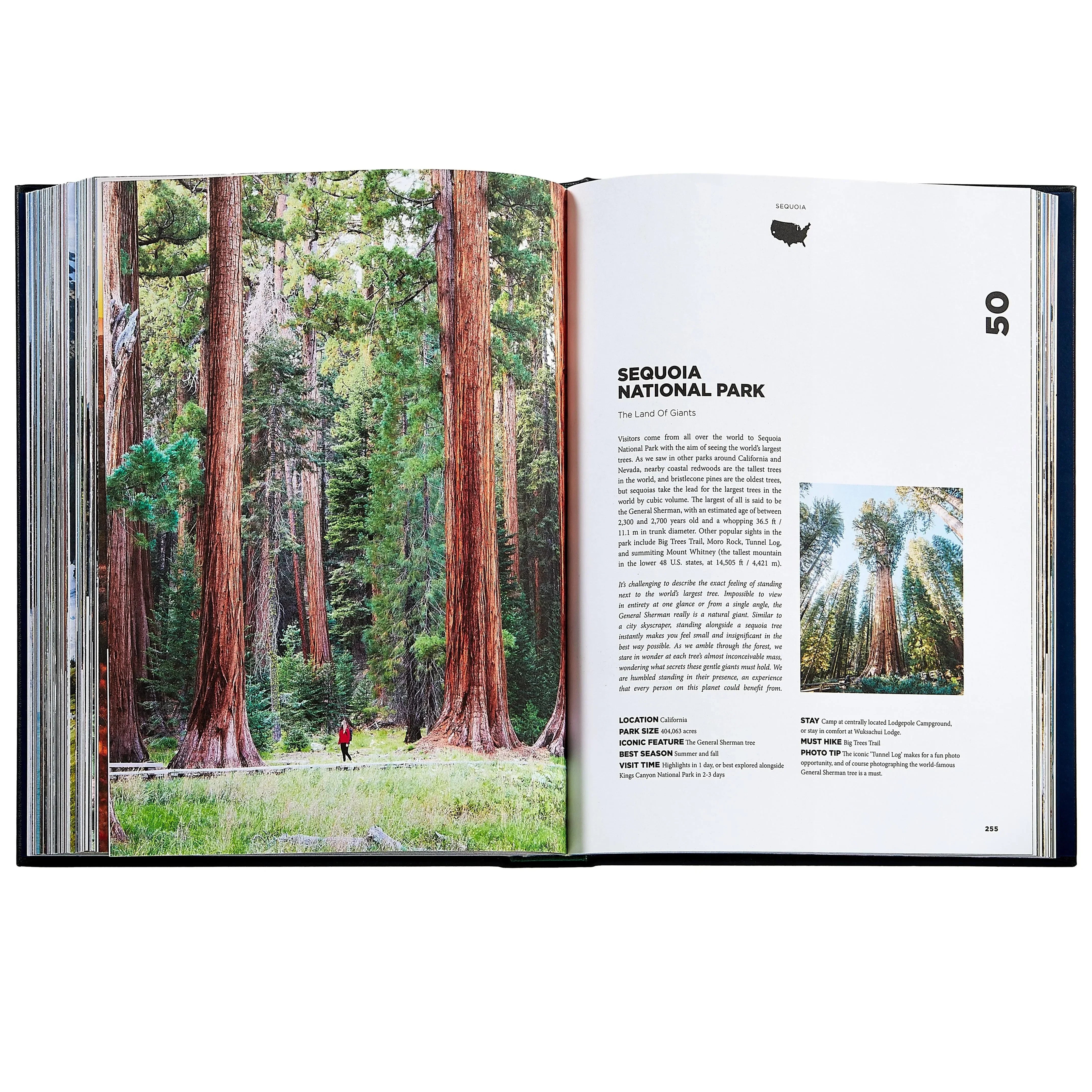 Roaming America - The Mayfair Hall