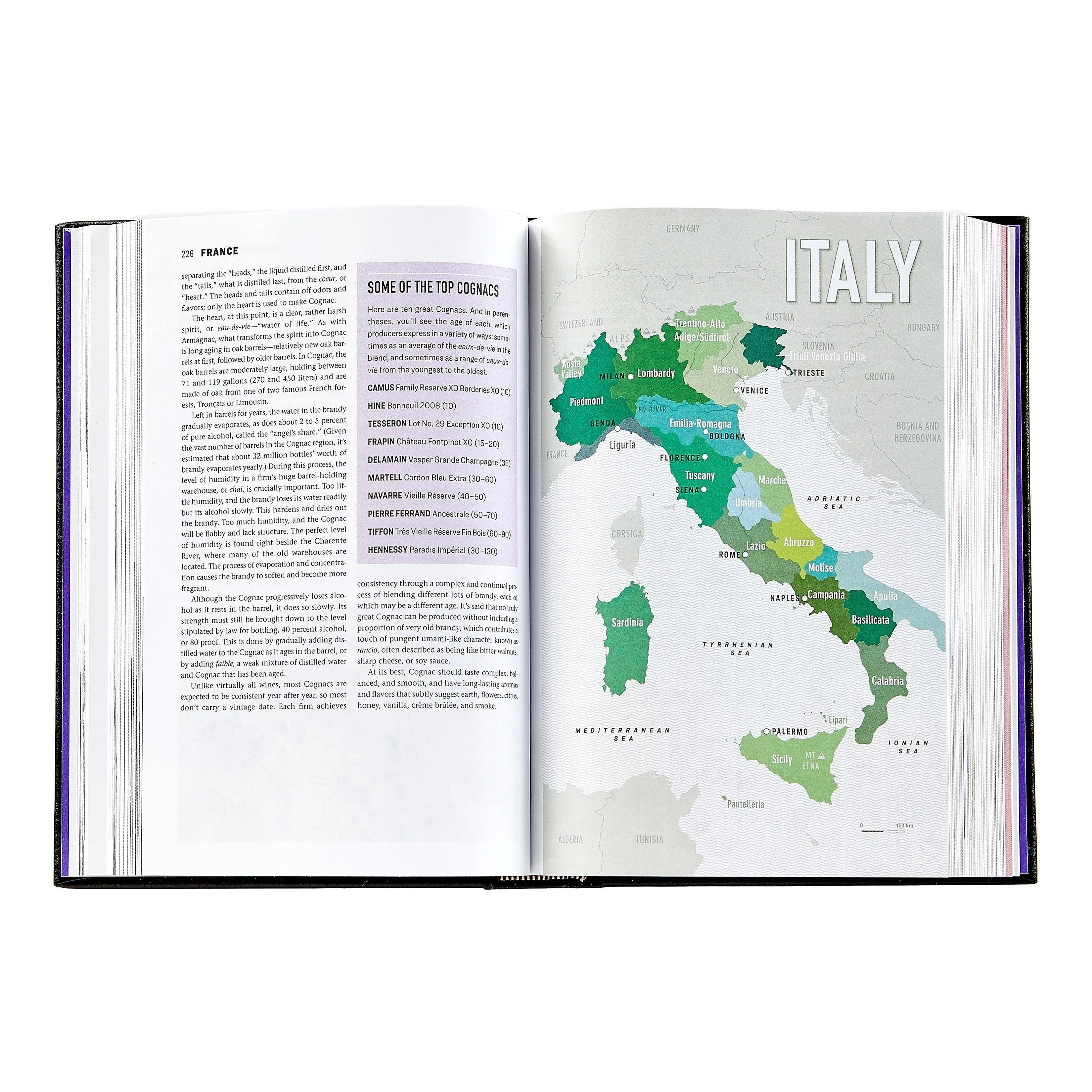 Graphic Image The Wine Bible