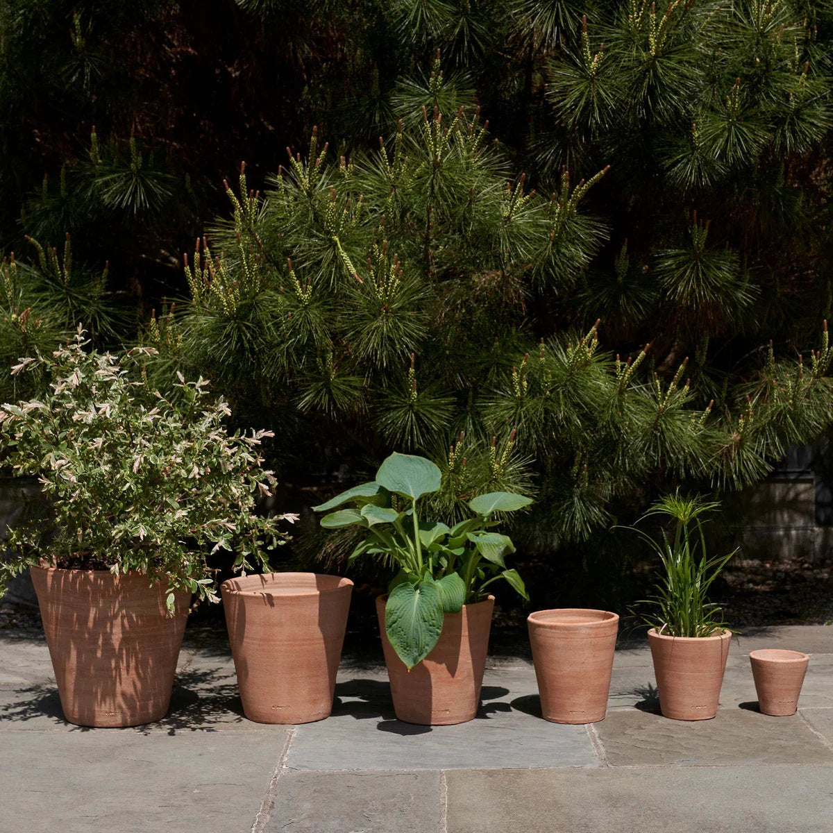 Whitewash Terracotta Studio Planter - The Mayfair Hall