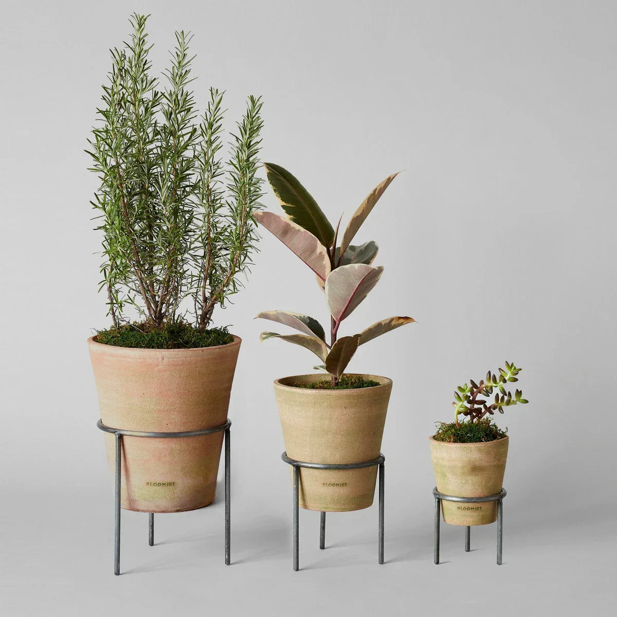 Greenwash Terracotta Studio Planter - The Mayfair Hall