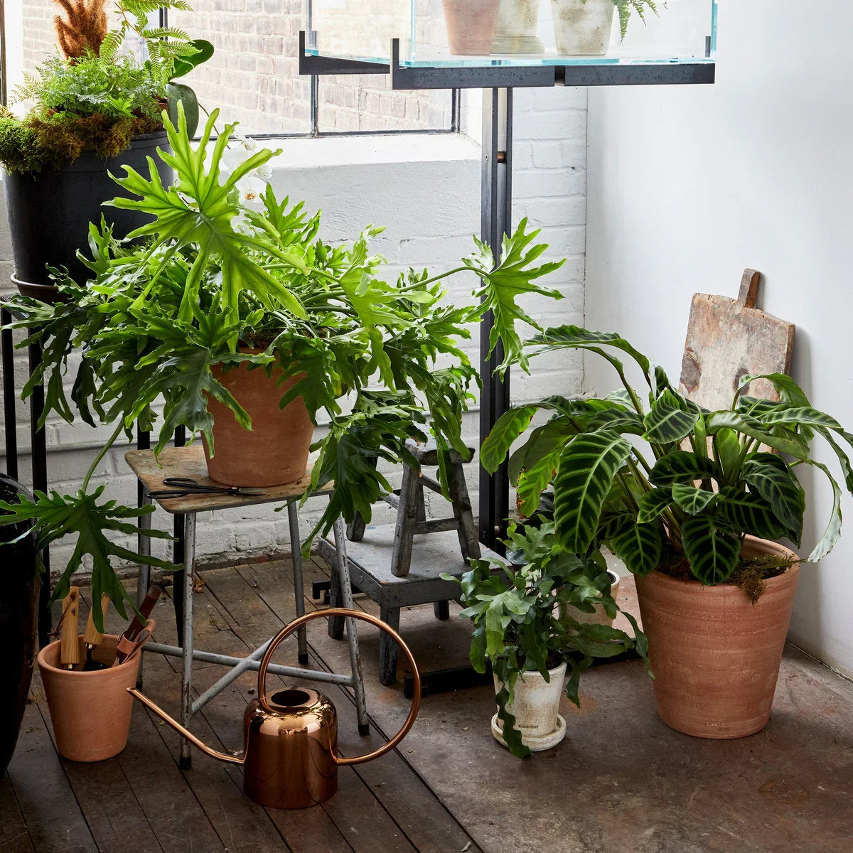 Whitewash Terracotta Studio Planter - The Mayfair Hall