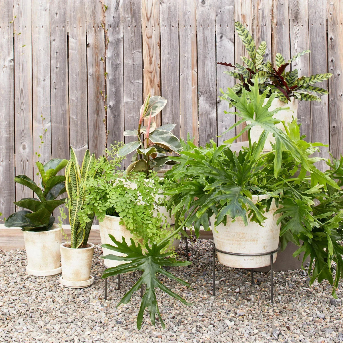 Basic Planter, White Patina - The Mayfair Hall