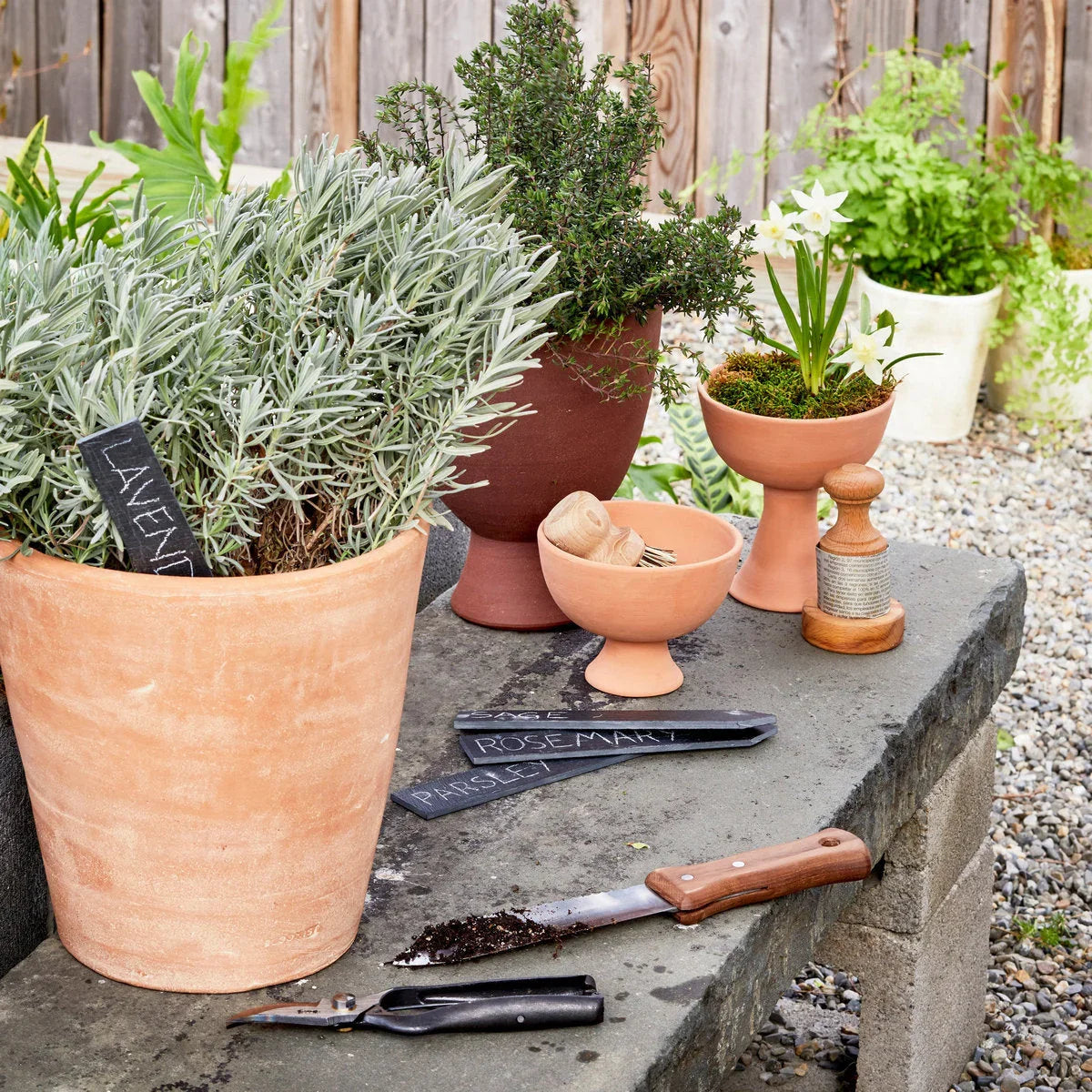 Whitewash Terracotta Studio Planter - The Mayfair Hall