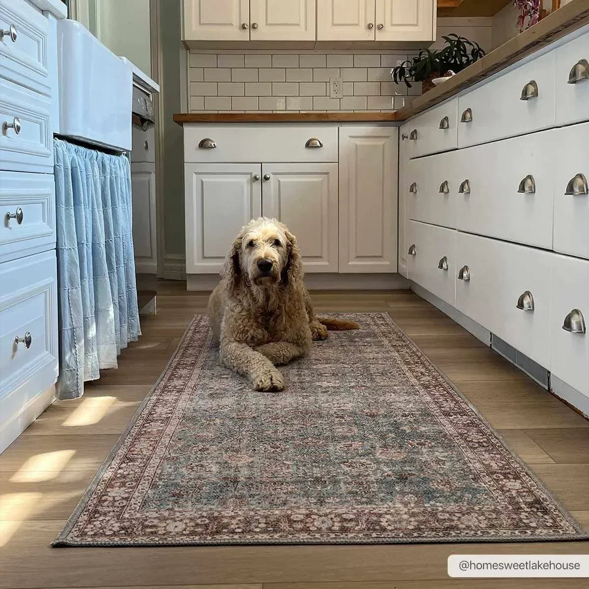 Dauis Brown&Blue Washable Persian Style Rug - The Mayfair Hall