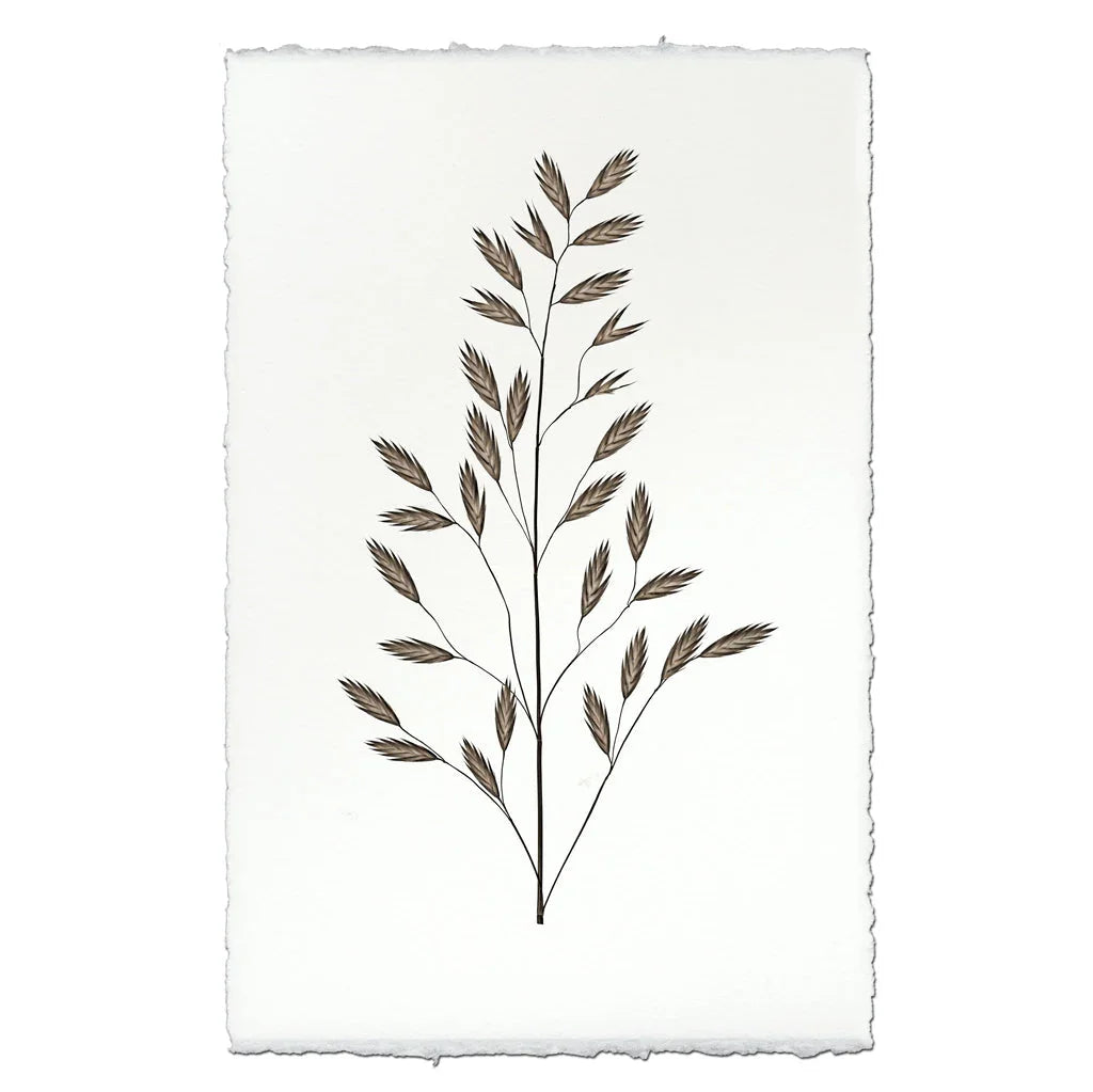 Burr Form #2 - The Mayfair Hall