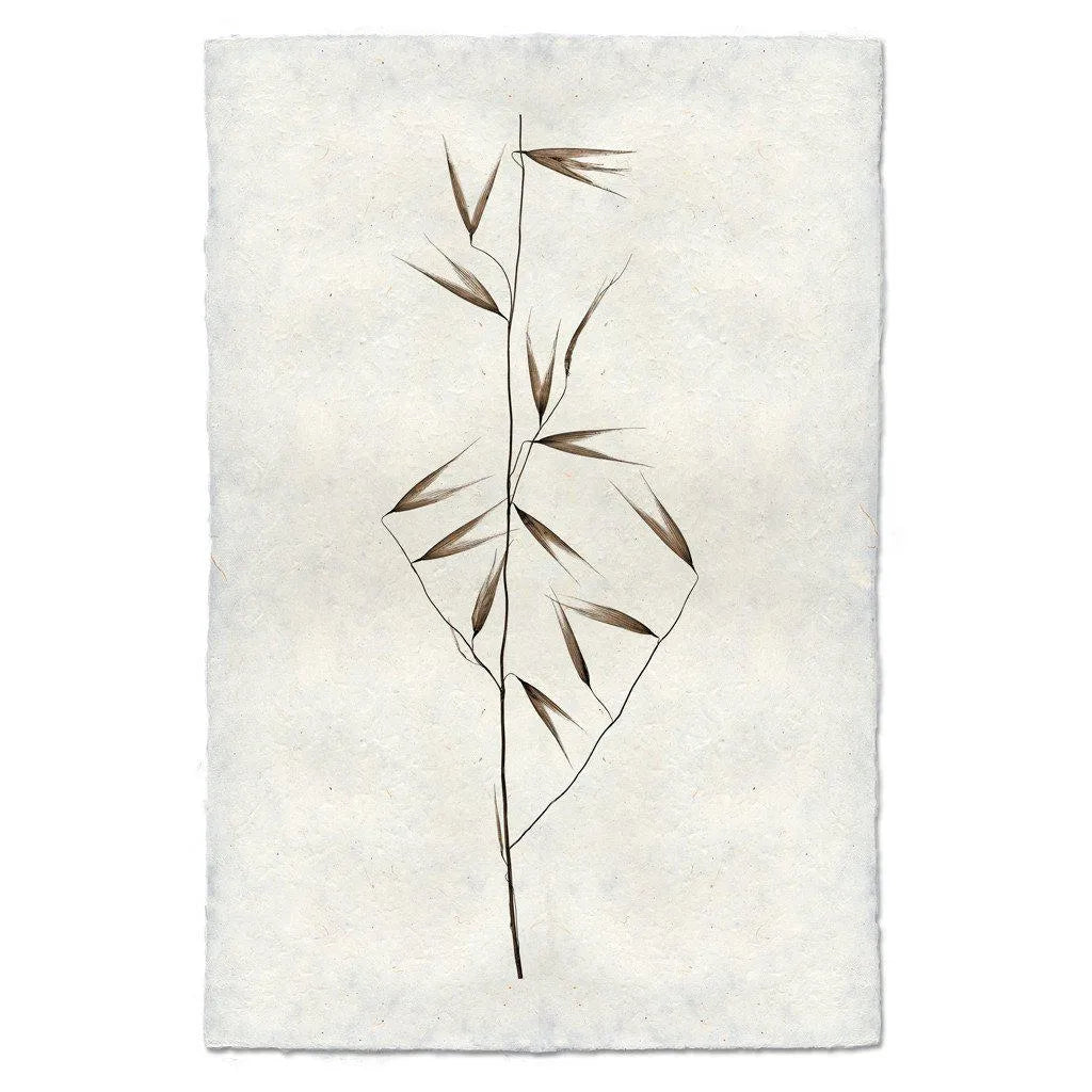 Burr Form - The Mayfair Hall