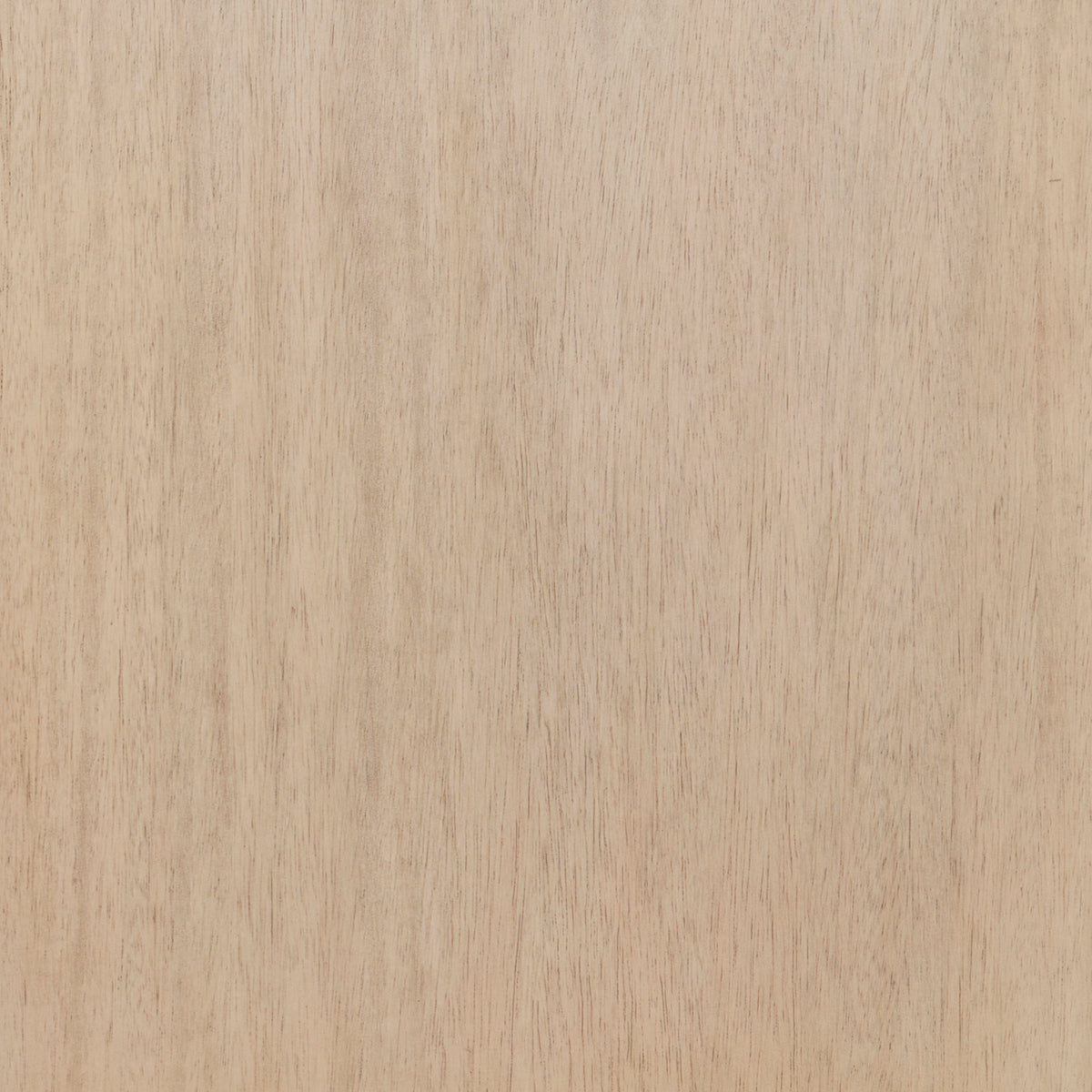 Petrabecca 48" Single Vanity in Light Oak and White