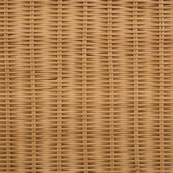 Jilliette Rattan Console Table in Natural