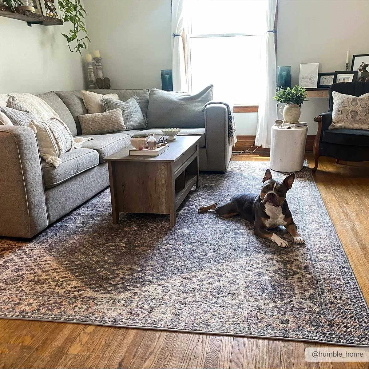 Seok Washable Area Rug - The Mayfair Hall