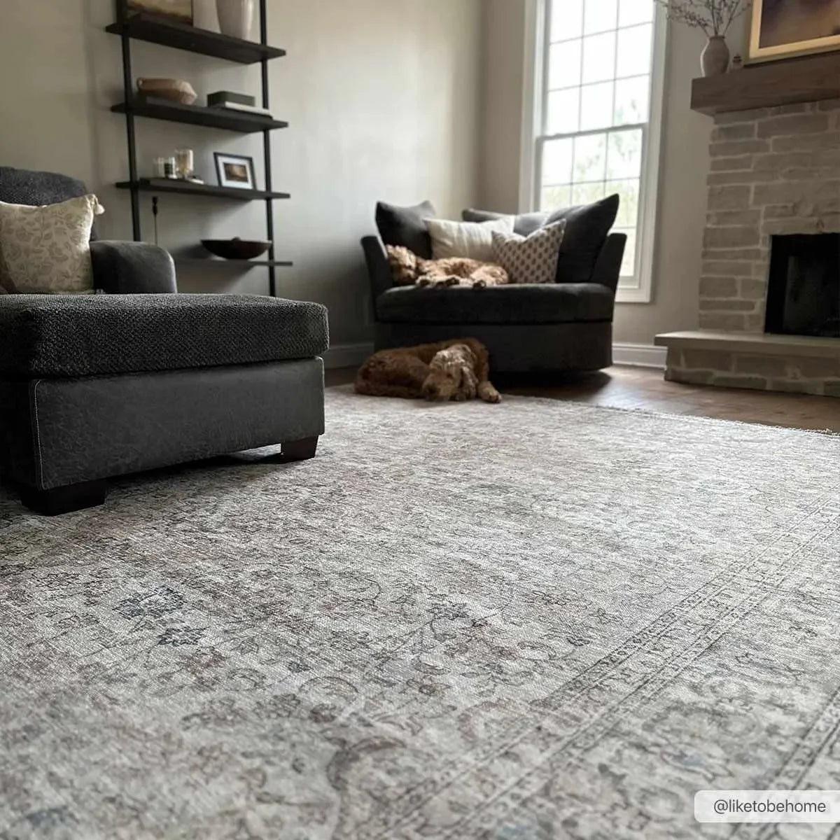 Cream Holi-2301 Washable Area Rug - The Mayfair Hall