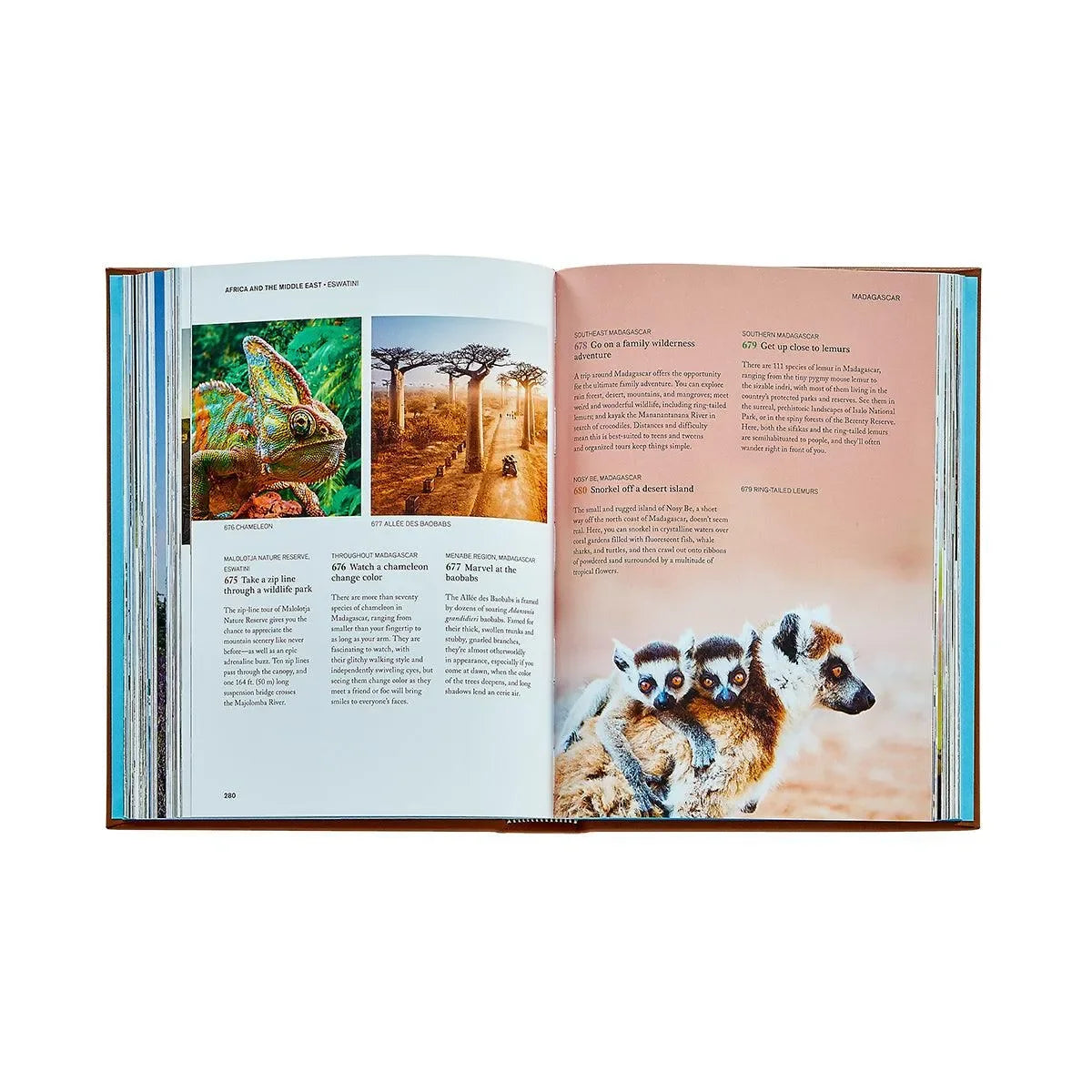 The Family Bucket List - The Mayfair Hall