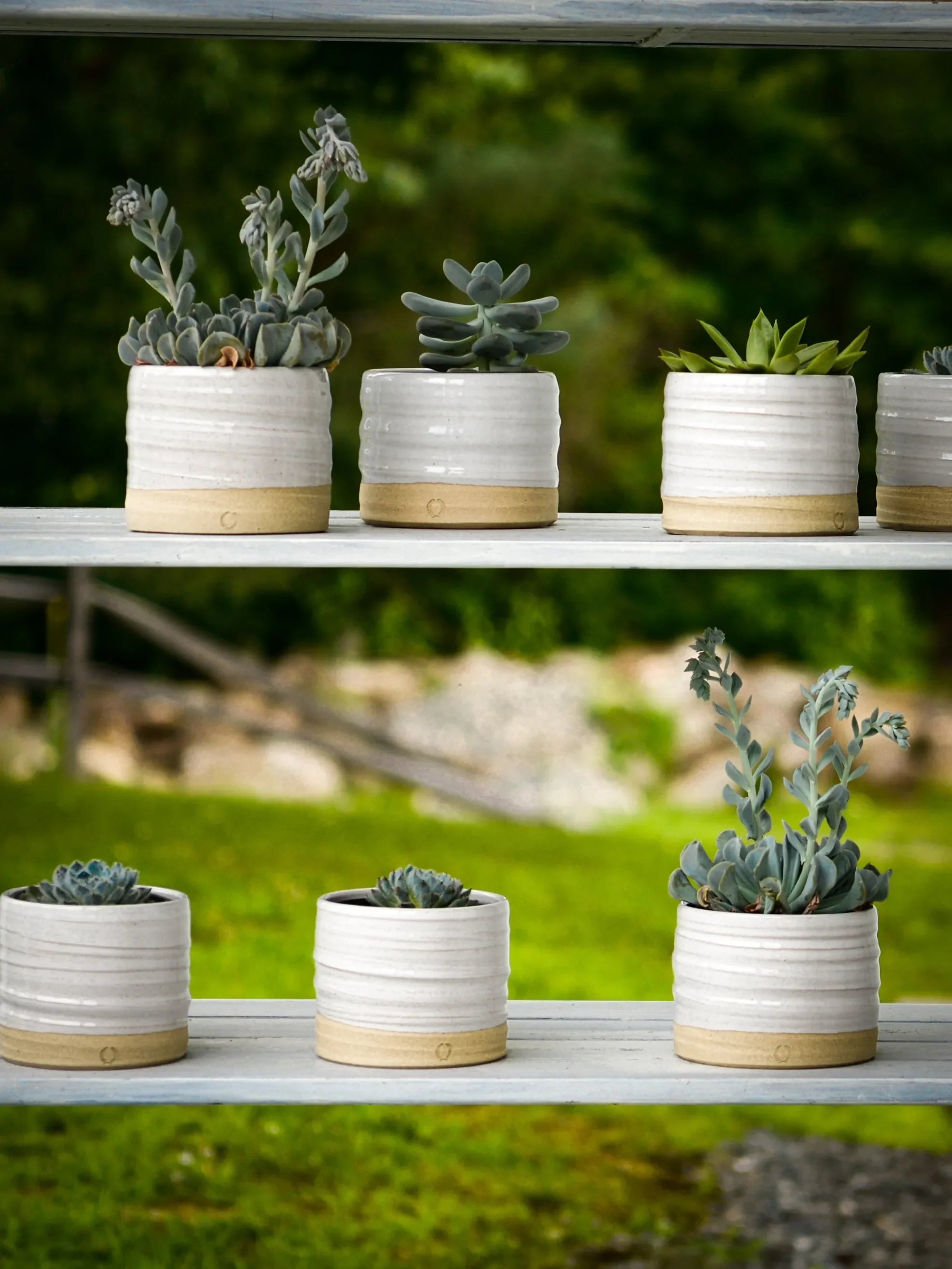 Farmhouse Pottery Trunk Garden Pot - The Mayfair Hall