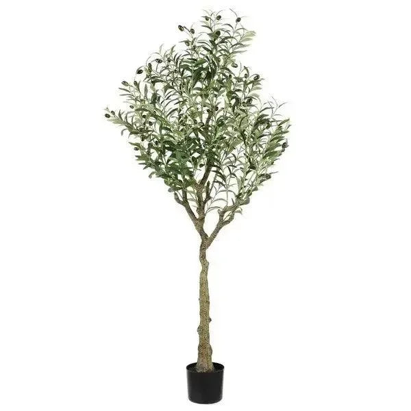 Faux Olive 60" Potted Tree - The Mayfair Hall