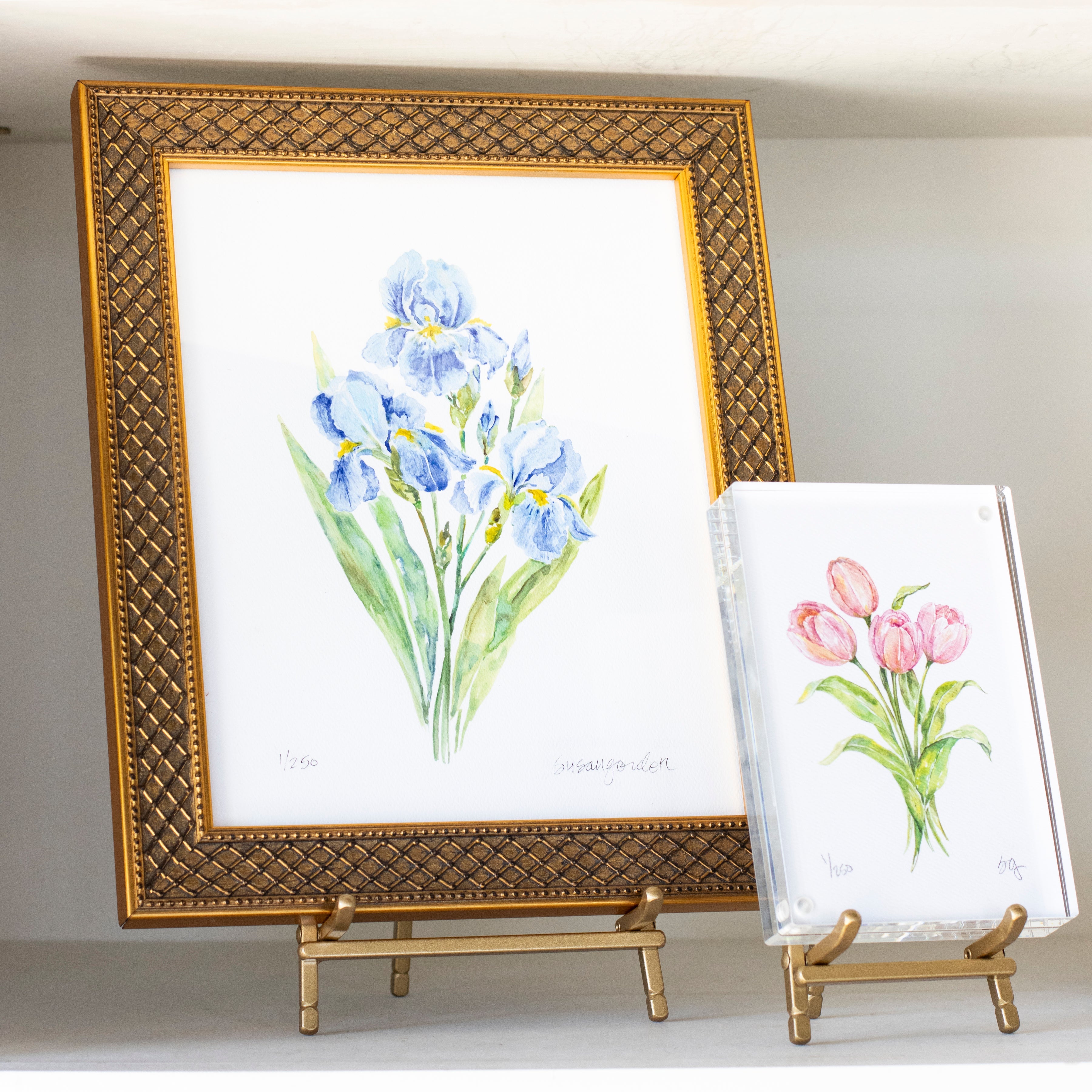8x10 Framed Dwarf Bearded Iris Archival Prints By Susan Gordon