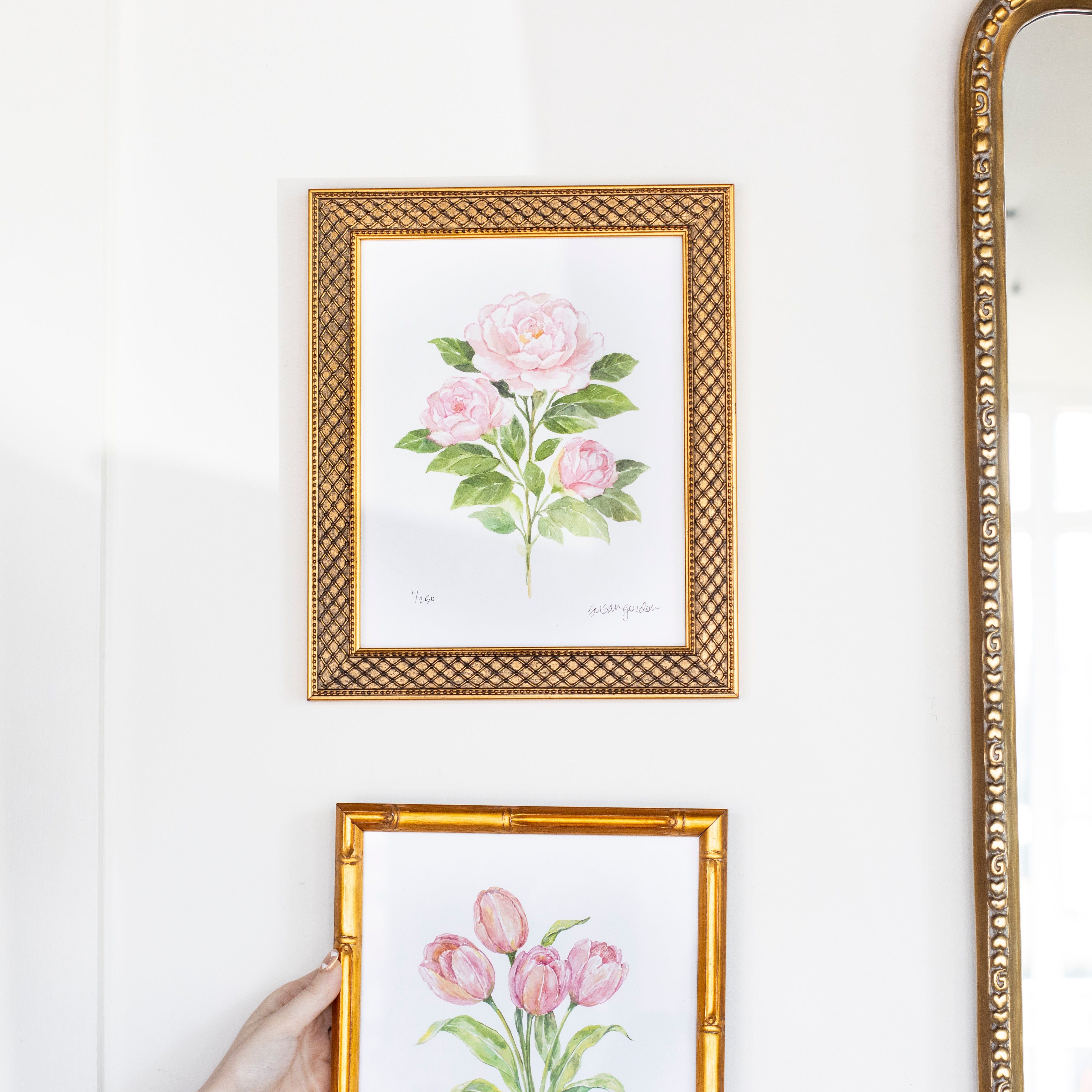 8x10 Camellia Prints By Susan Gordon