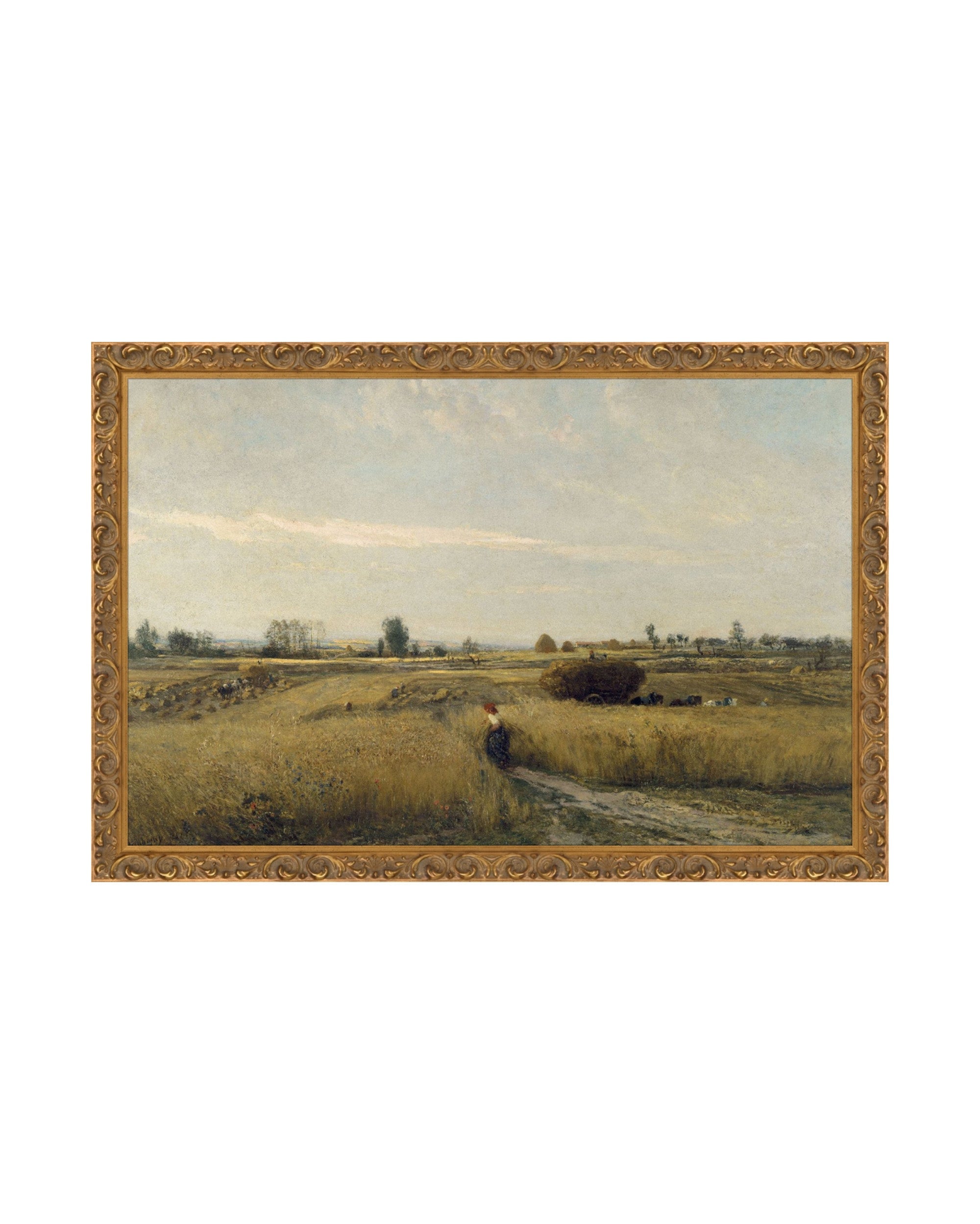 Wheat Meadow