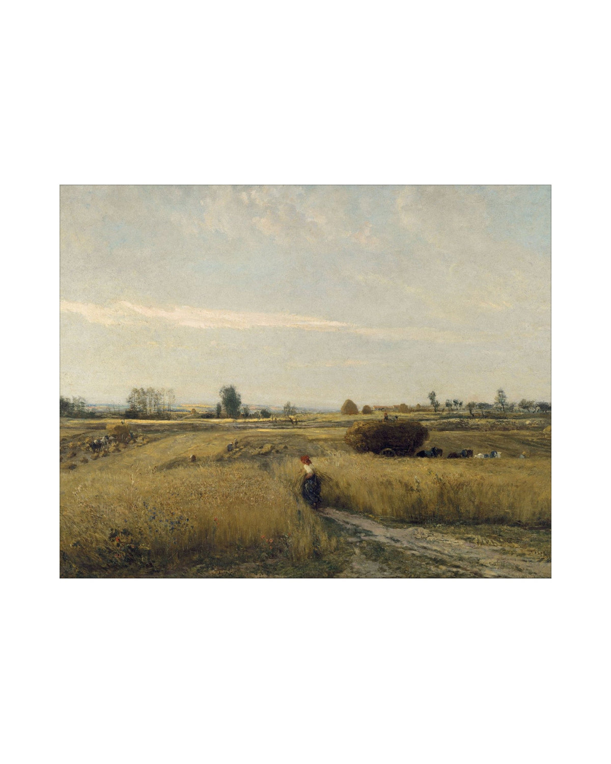 Wheat Meadow