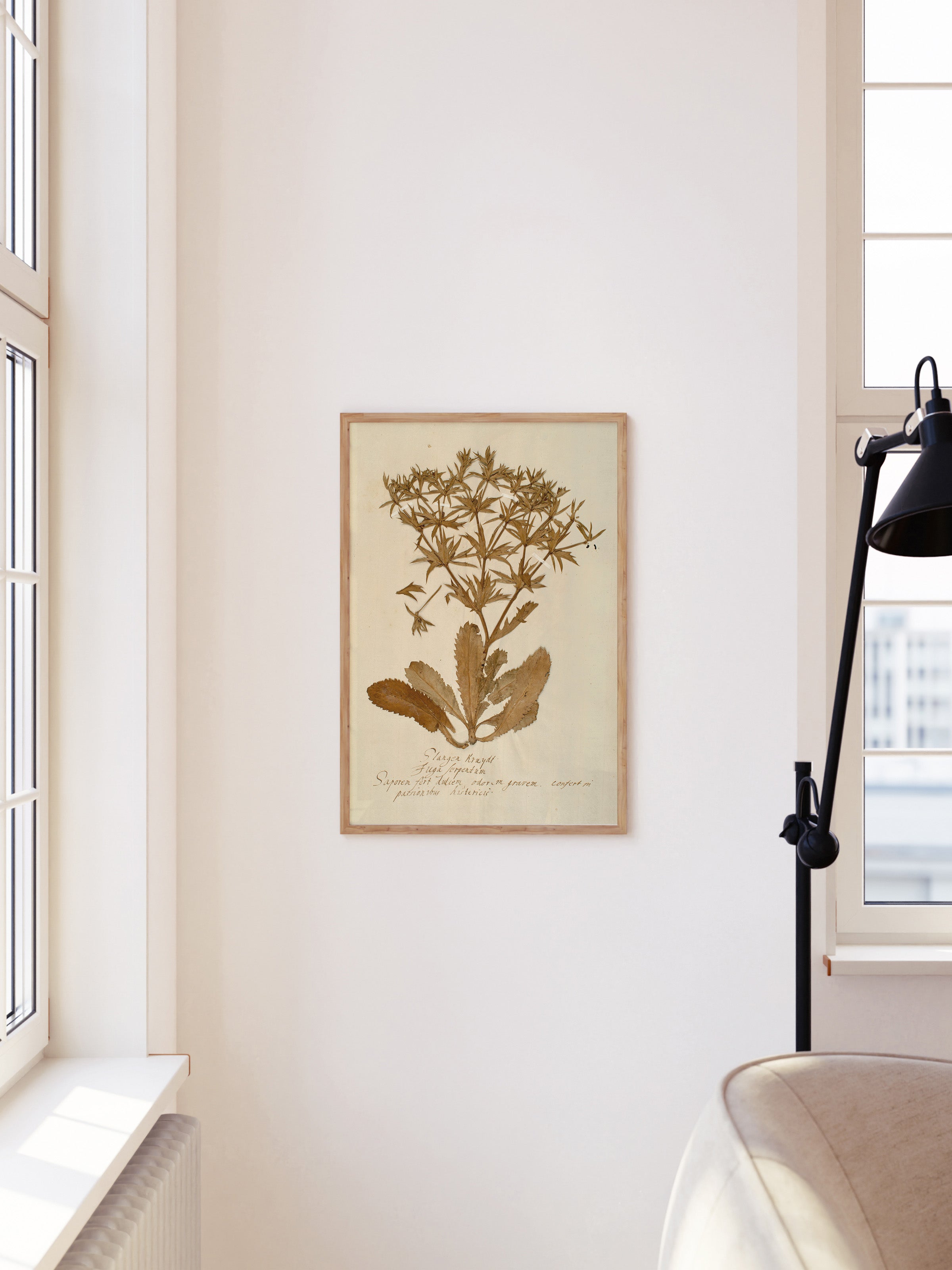 Herbarium II