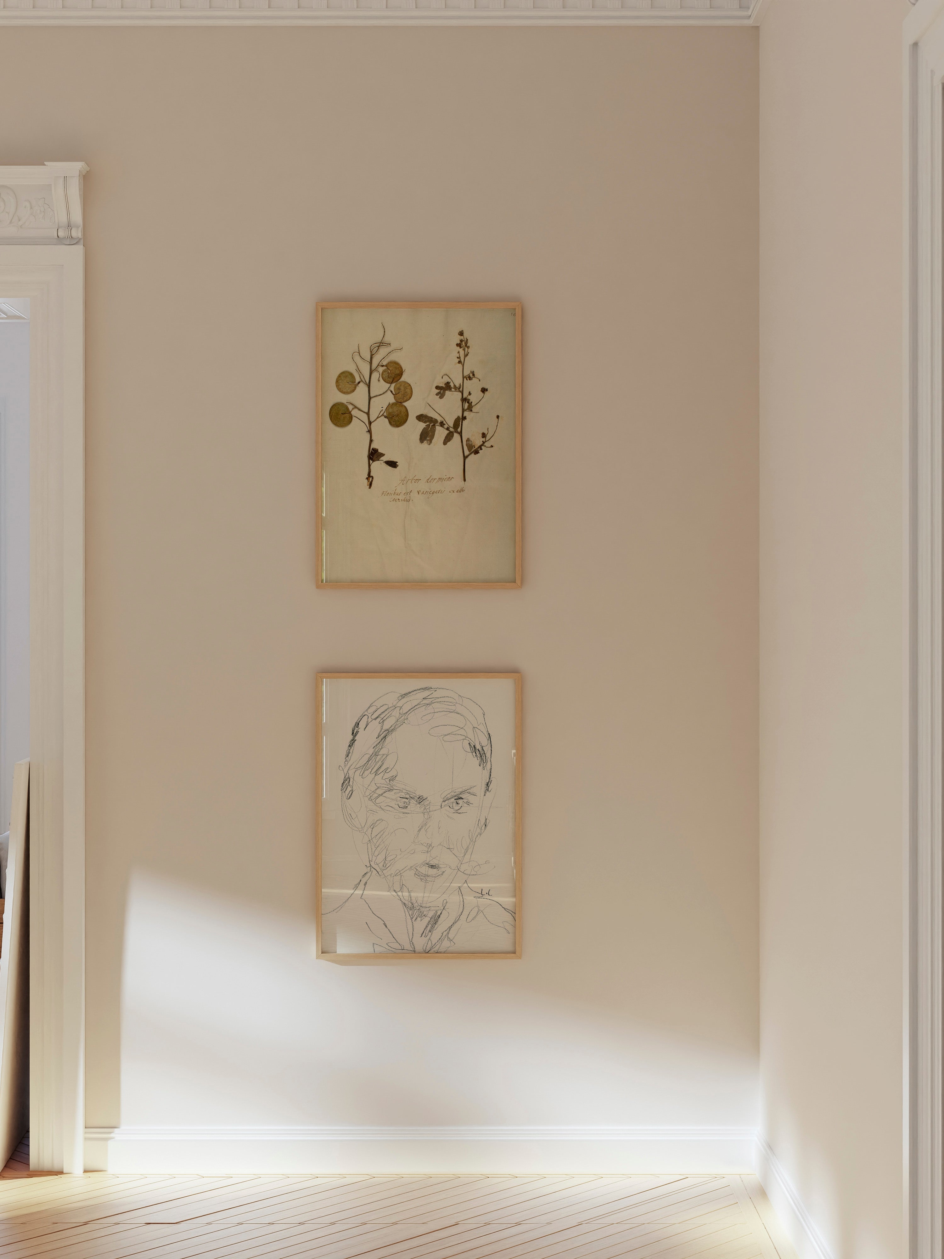 Herbarium X