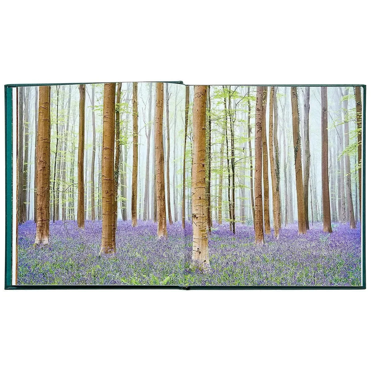 The Hidden Life of Trees - The Mayfair Hall