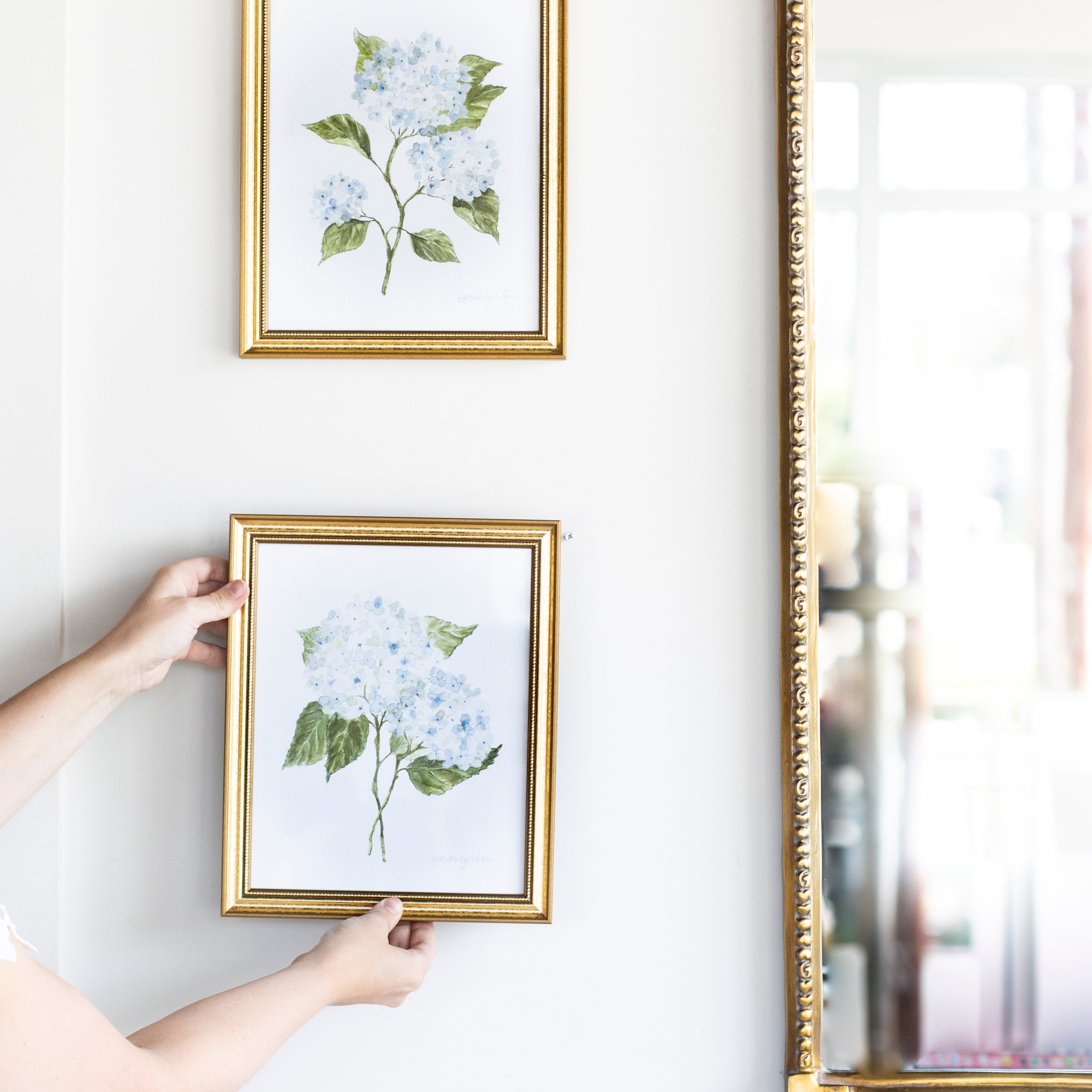 8x10 Hydrangea Print No. 3 By Susan Gordon