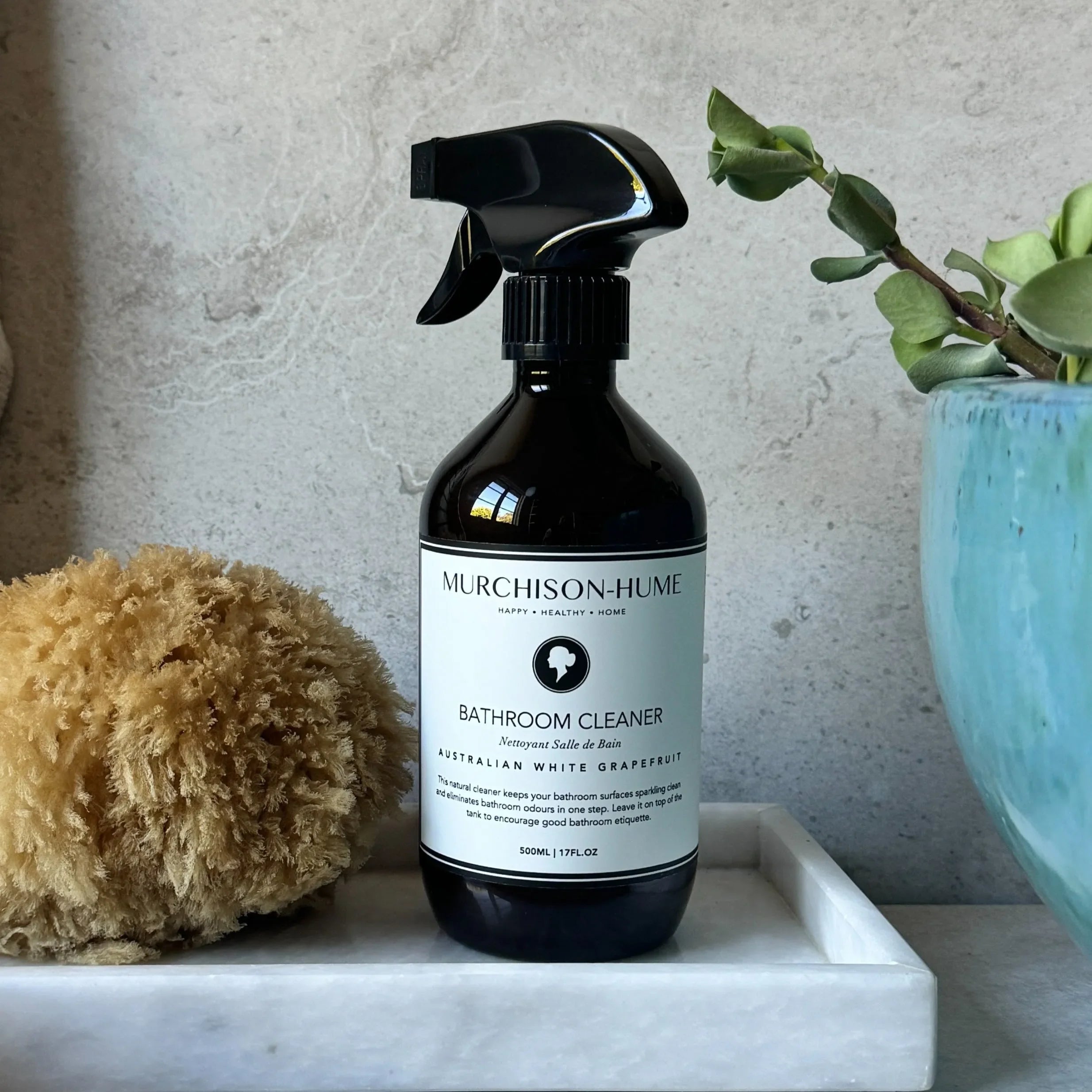 Bathroom Cleaner - The Mayfair Hall