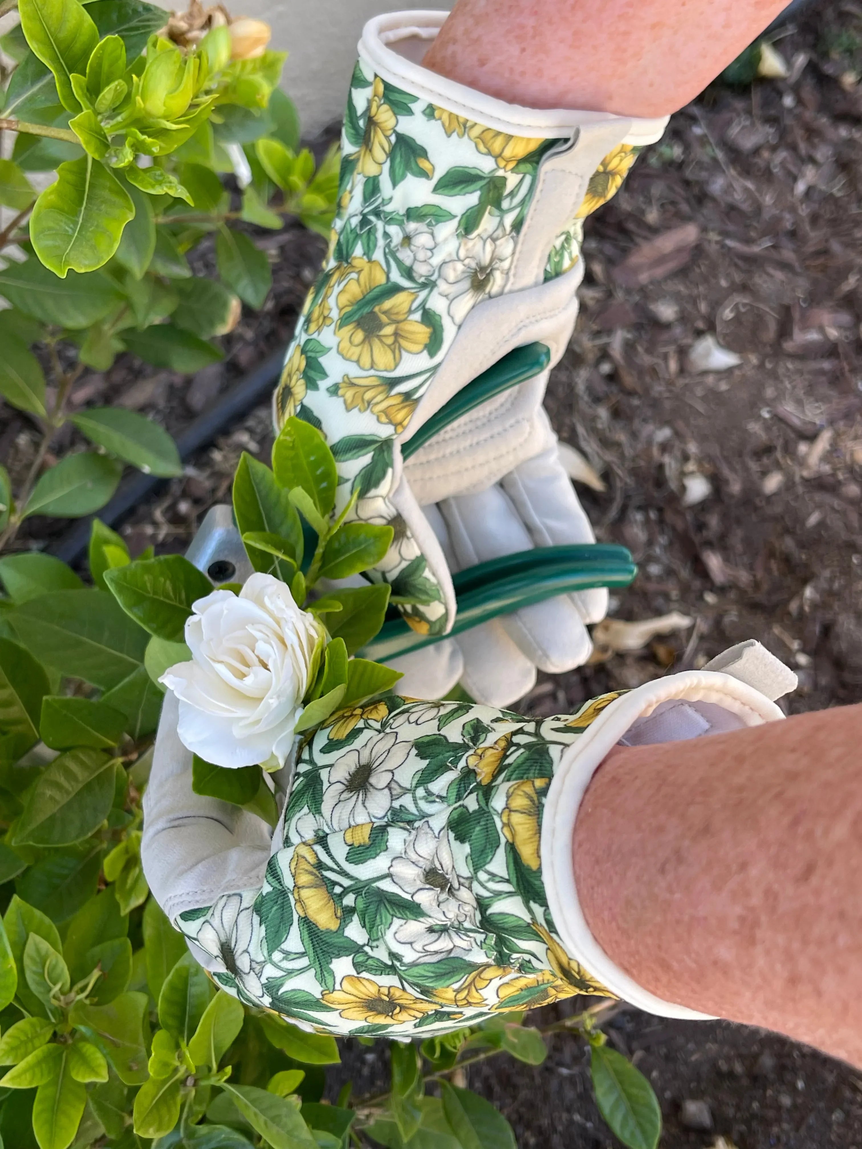 Garden Gift Box - Gloves and Snips - The Mayfair Hall