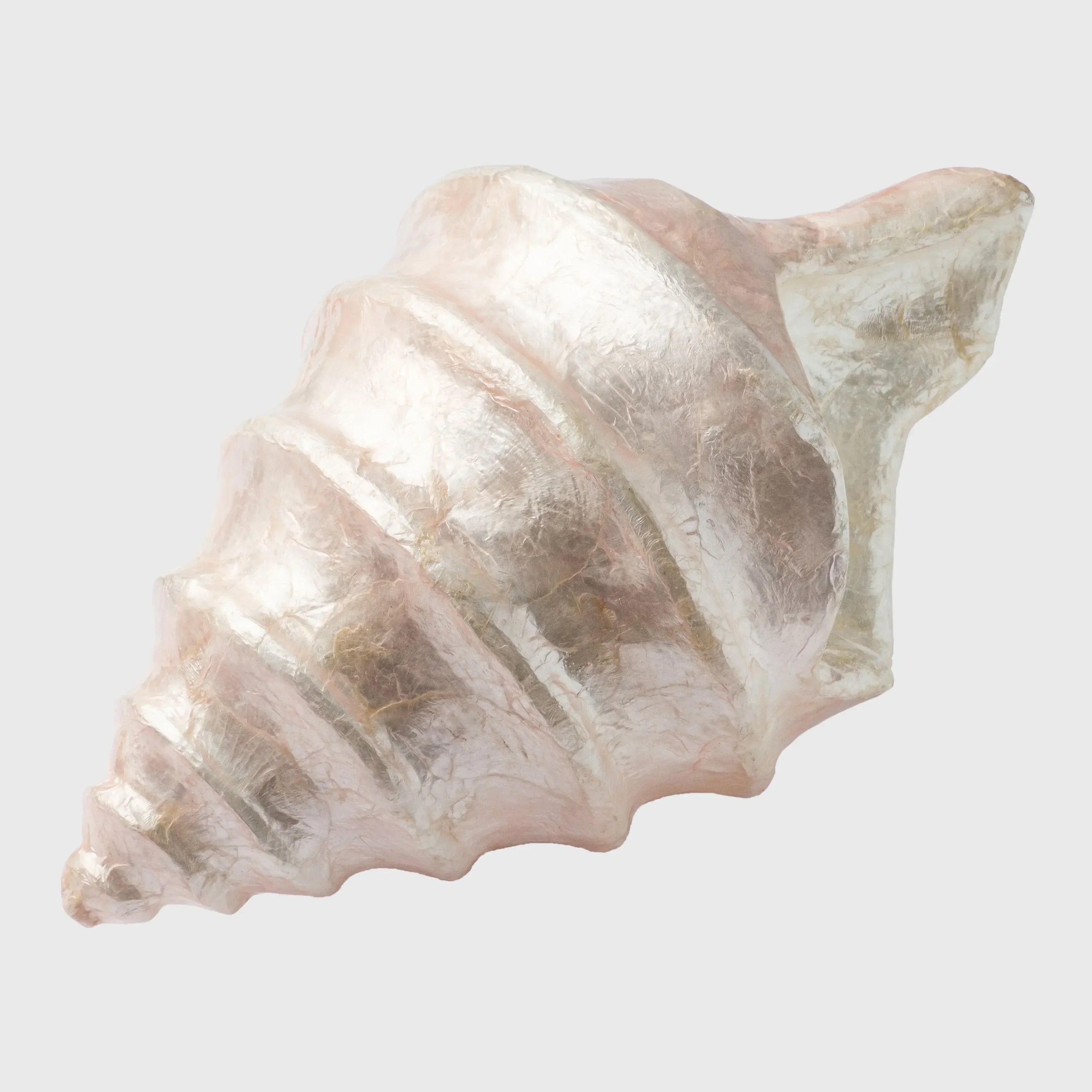 Capiz shell decorative object - The Mayfair Hall