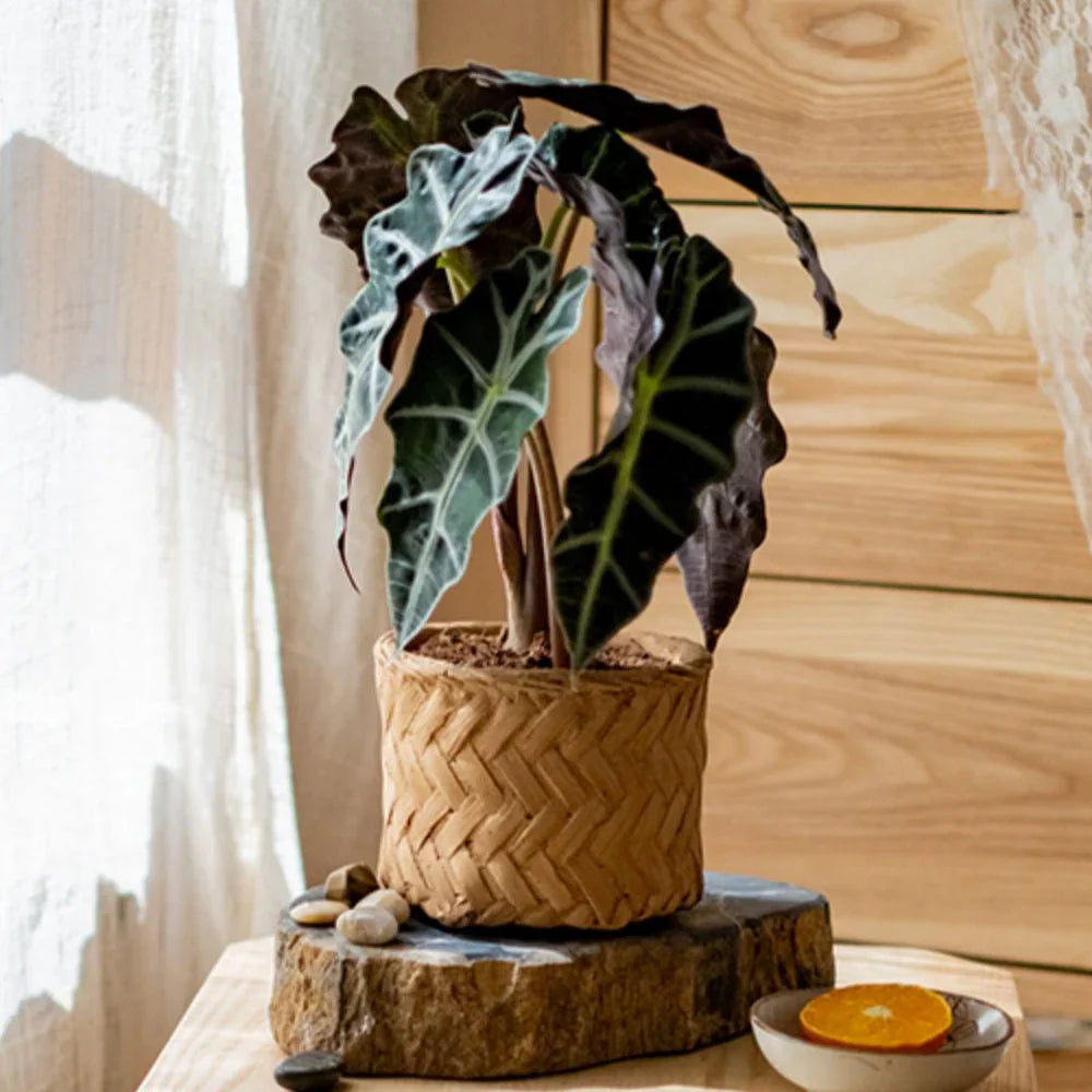 Bamboo Looking Cement Planter - The Mayfair Hall